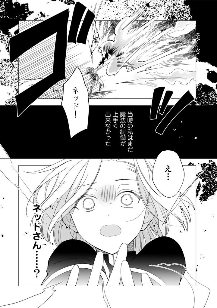騎士団長、そのプロポーズはありえません! 第2.5話 - 12