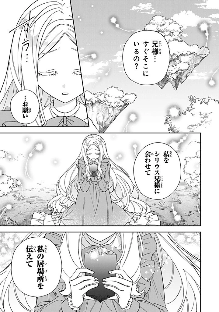 自由気ままな精霊姫 第23.3話 - 7