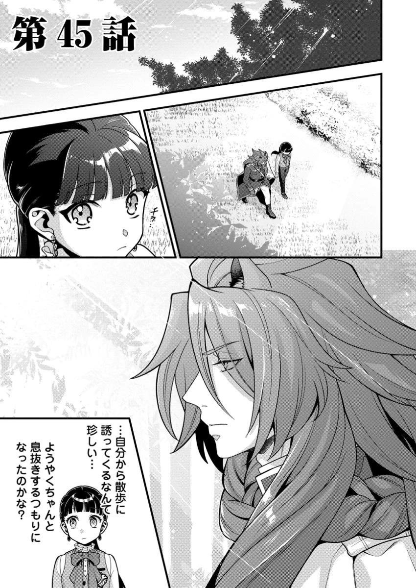 ヒトを勝手に参謀にするんじゃない、この覇王。 ～ゲーム世界に放り込まれたオタクの苦労～ 第45話 - 1