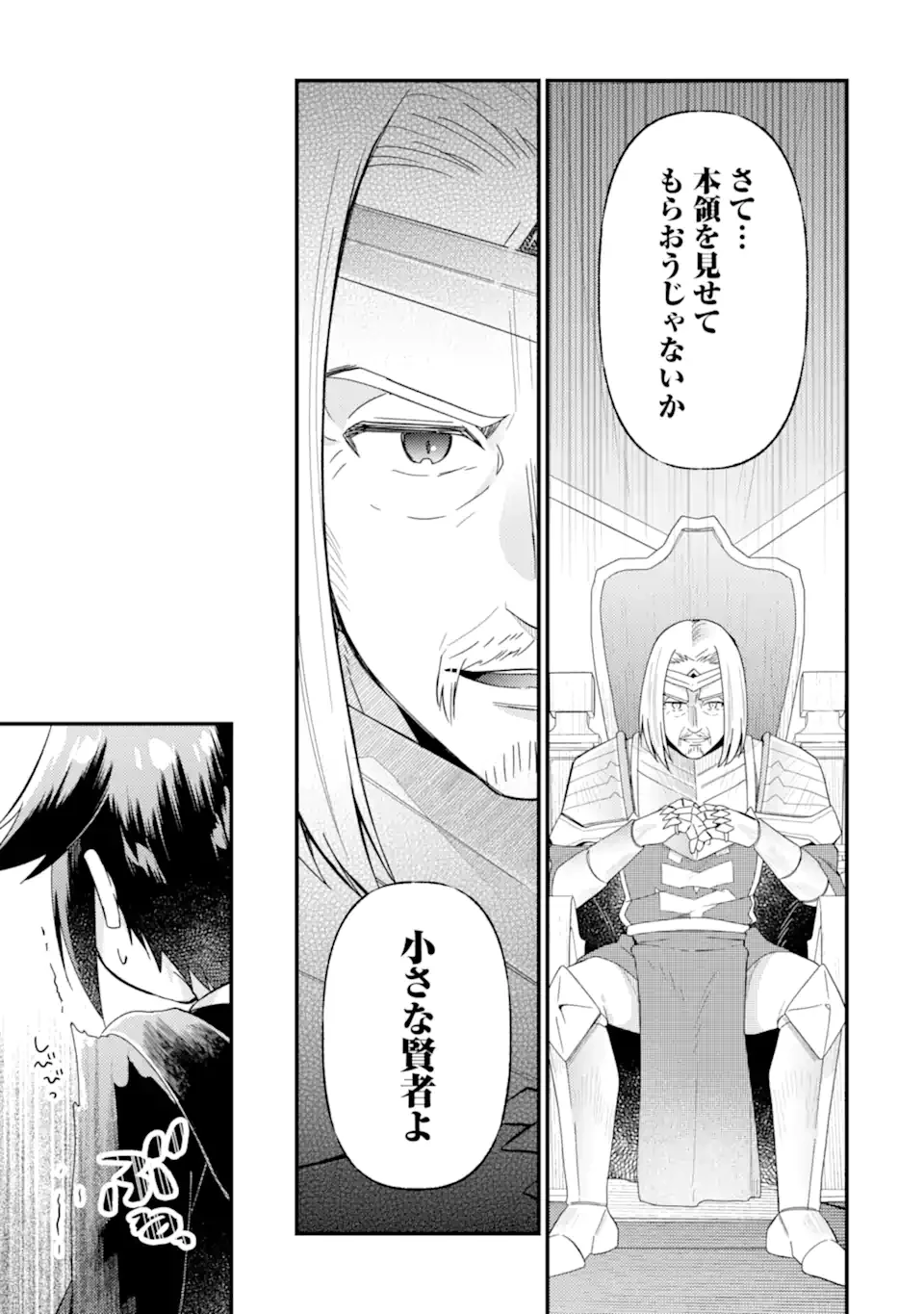 6歳の賢者は日陰の道を歩みたい 第20.1話 - 8