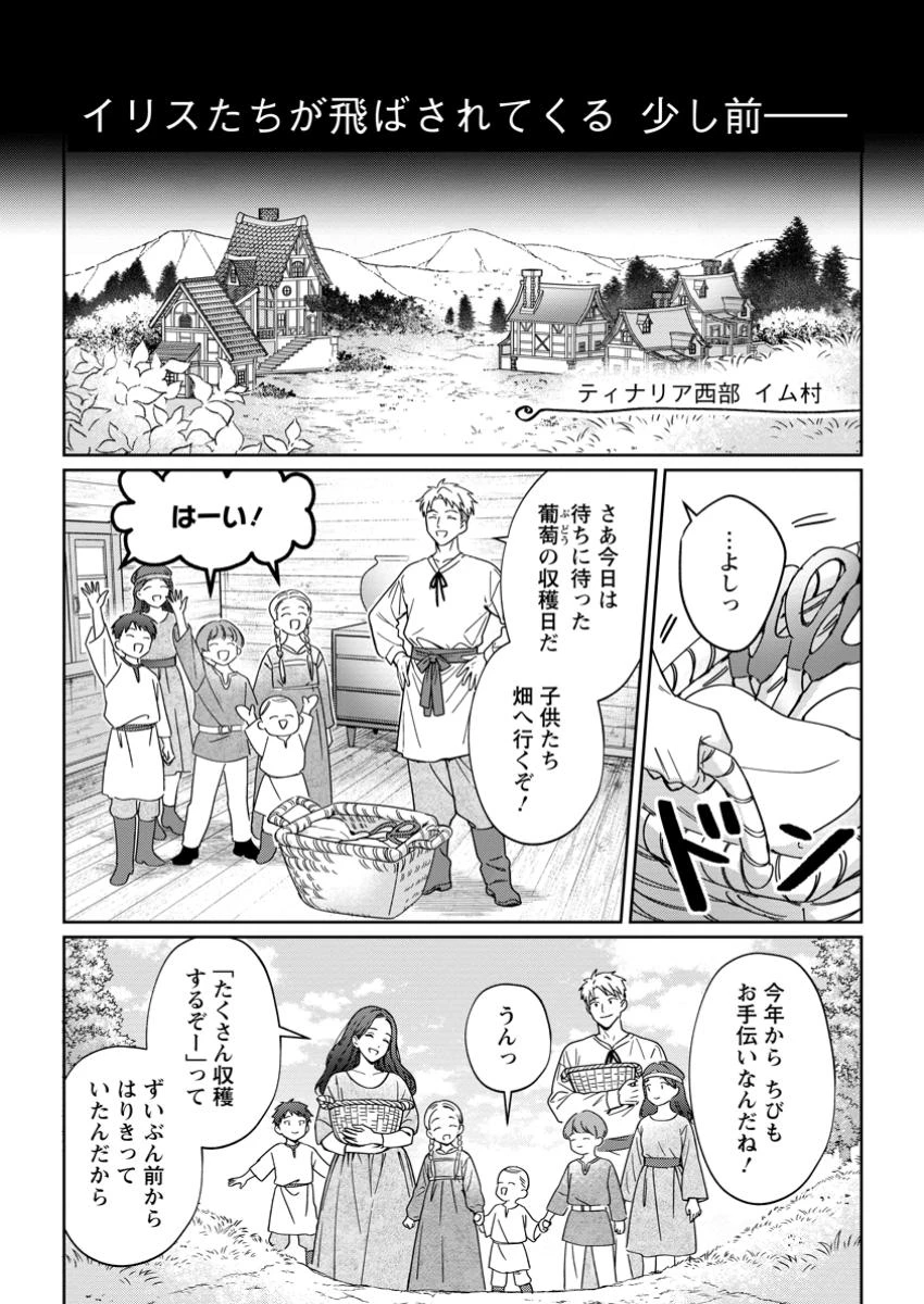 義妹に婚約者を奪われた落ちこぼれ令嬢は、天才魔術師に溺愛される 第31.1話 - 2