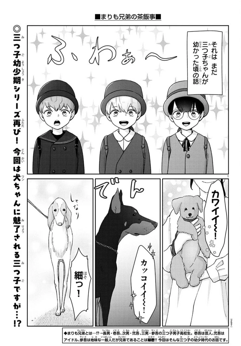 まりも兄弟の茶飯事 第40話 - 2