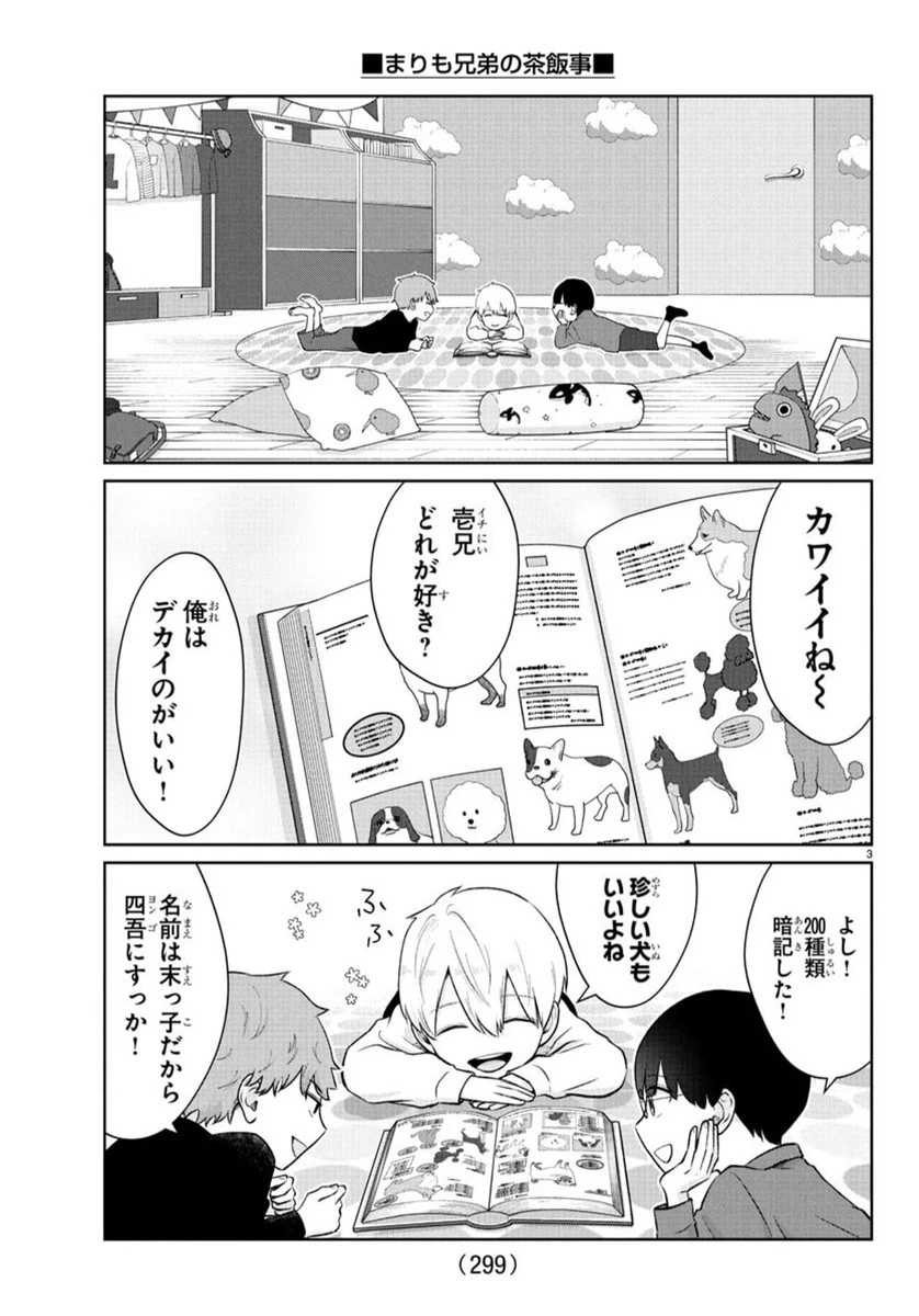 まりも兄弟の茶飯事 第40話 - 4