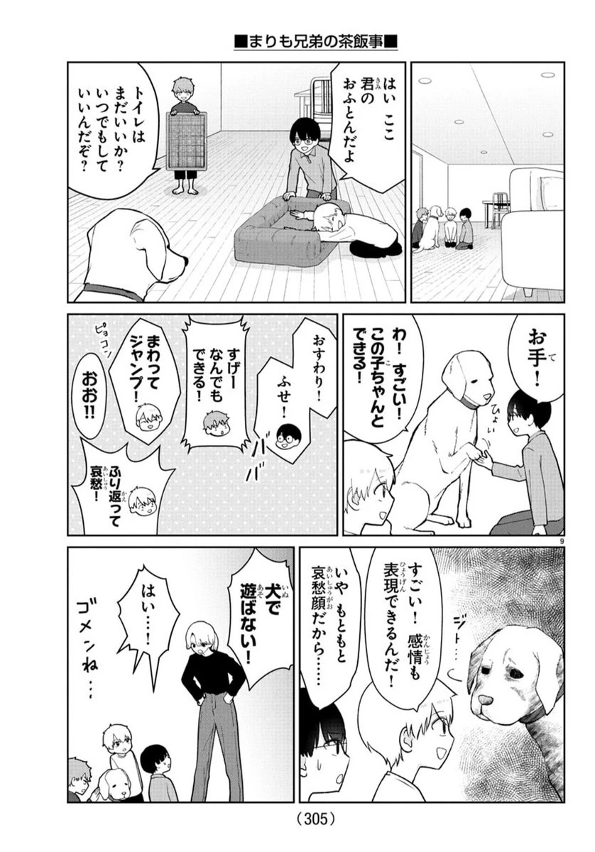 まりも兄弟の茶飯事 第40話 - 10