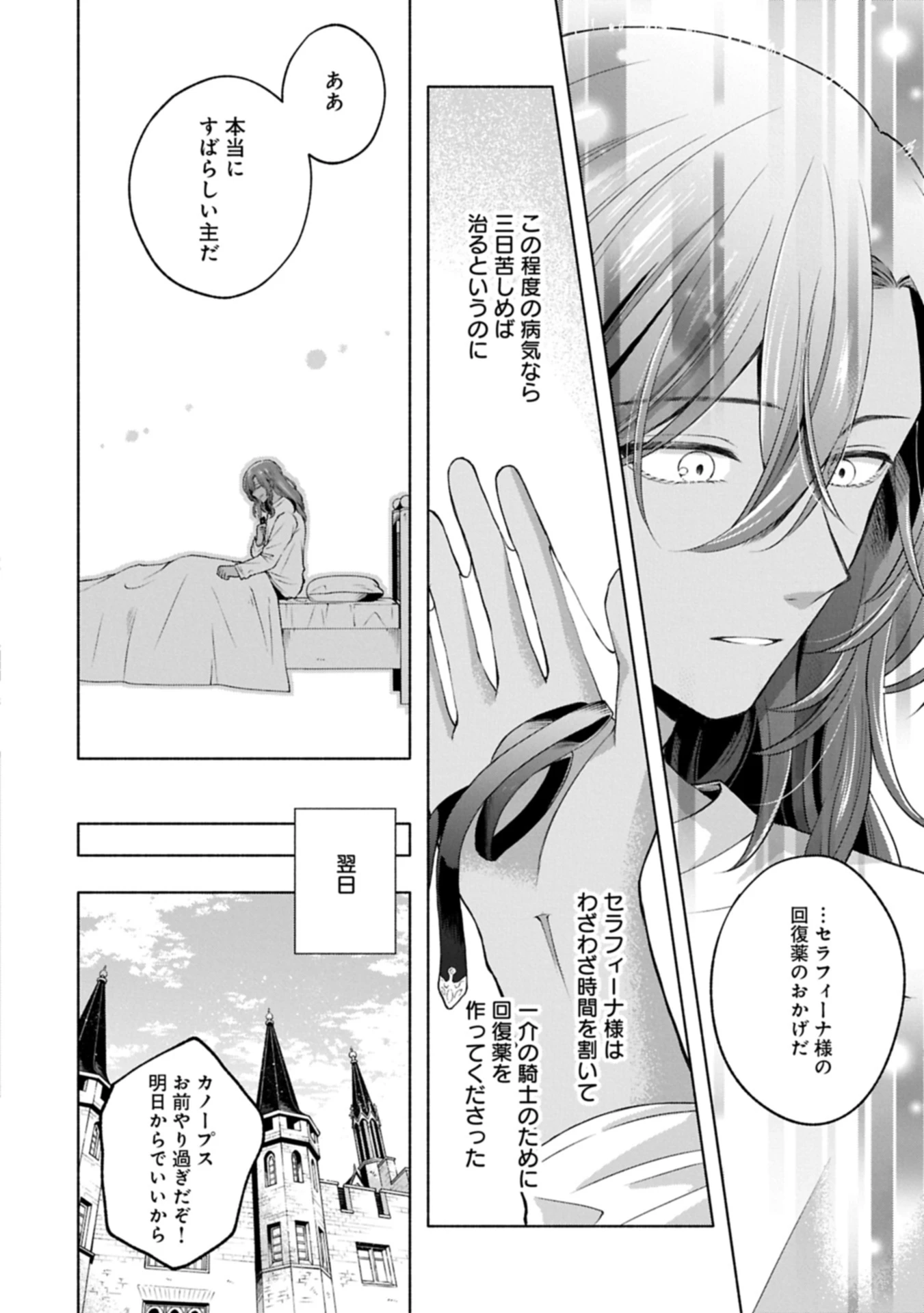 転生した大聖女は、聖女であることをひた隠す 第12.3話 - 14