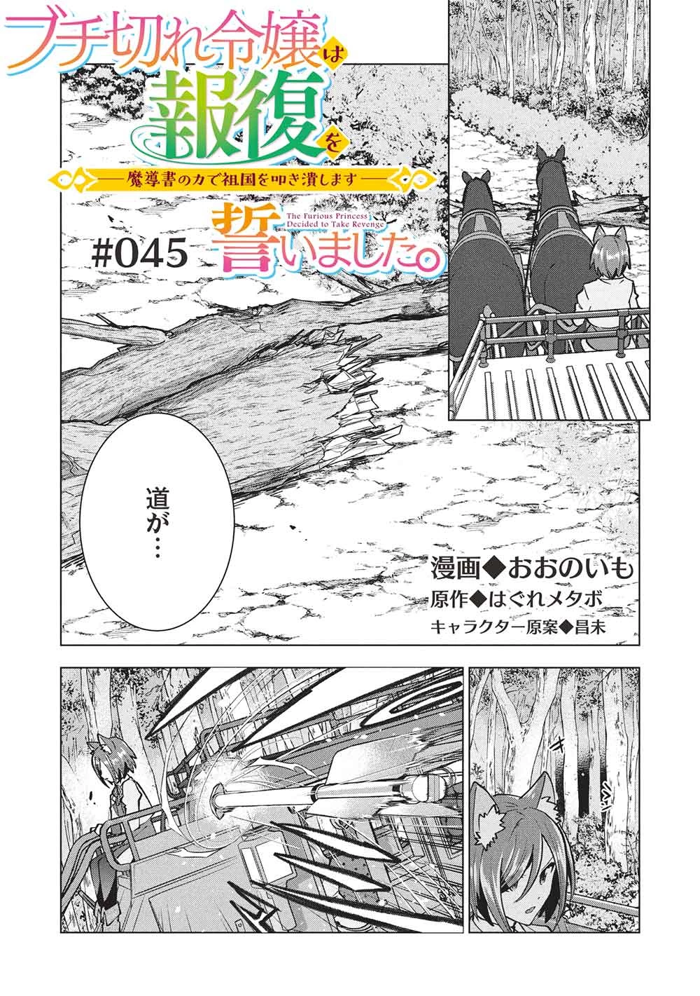 ブチ切れ令嬢は報復を誓いました。 ～魔導書の力で祖国を叩き潰します～ 第45話 - 5