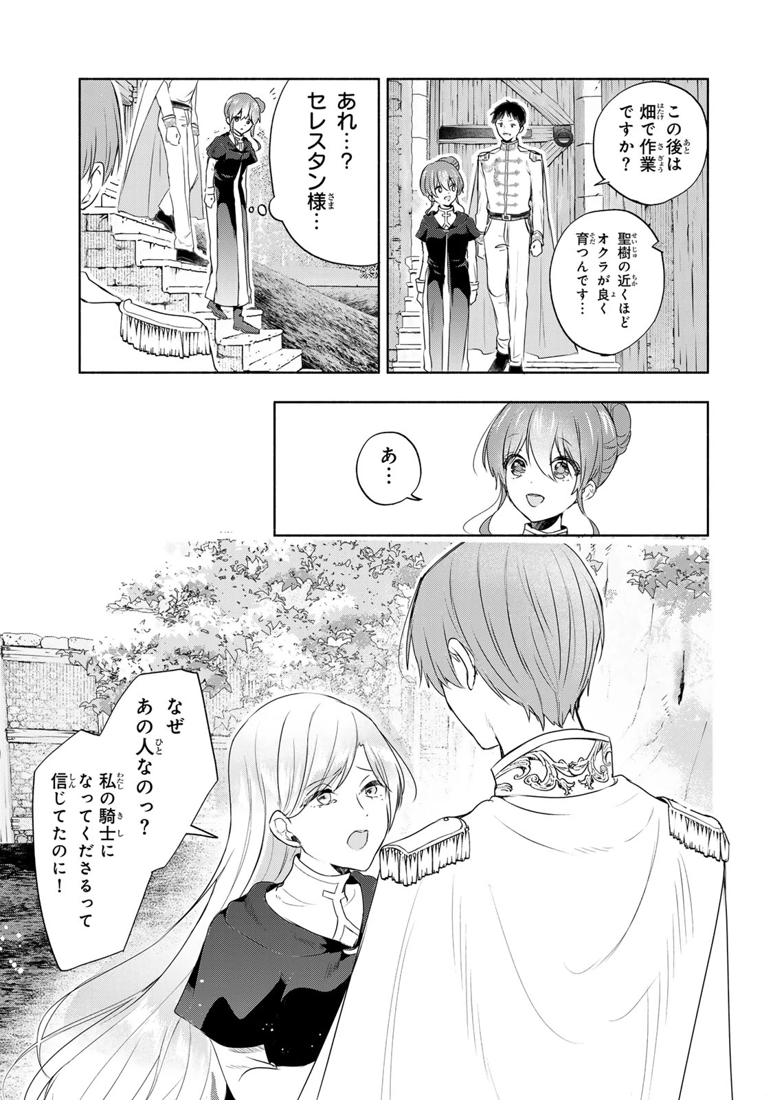 聖女様をお探しでしたら妹で間違いありません。さあどうぞお連れください、今すぐ。 第17話 - 11