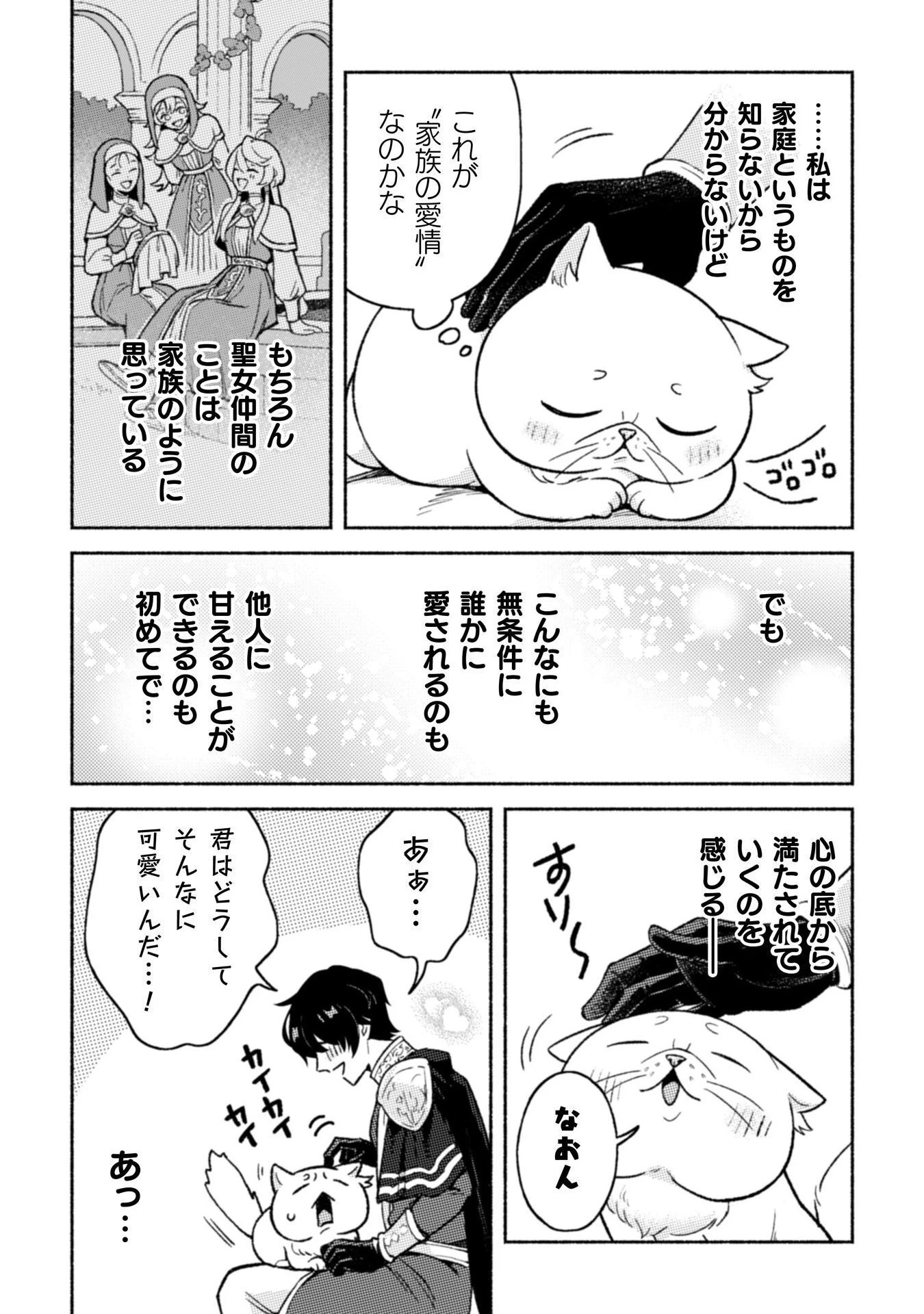 根暗騎士による溺愛満喫中のブサ猫、実は聖女です! 第6話 - 6