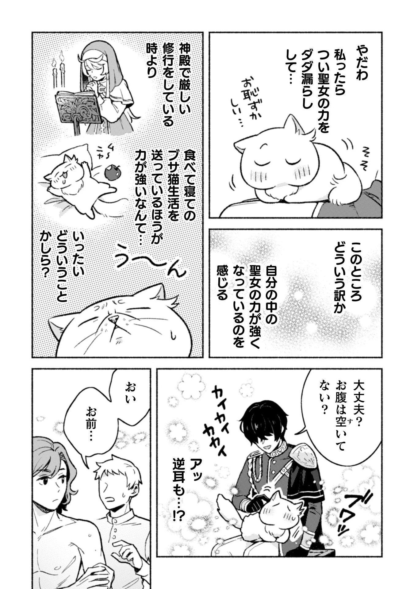 根暗騎士による溺愛満喫中のブサ猫、実は聖女です! 第6話 - 8