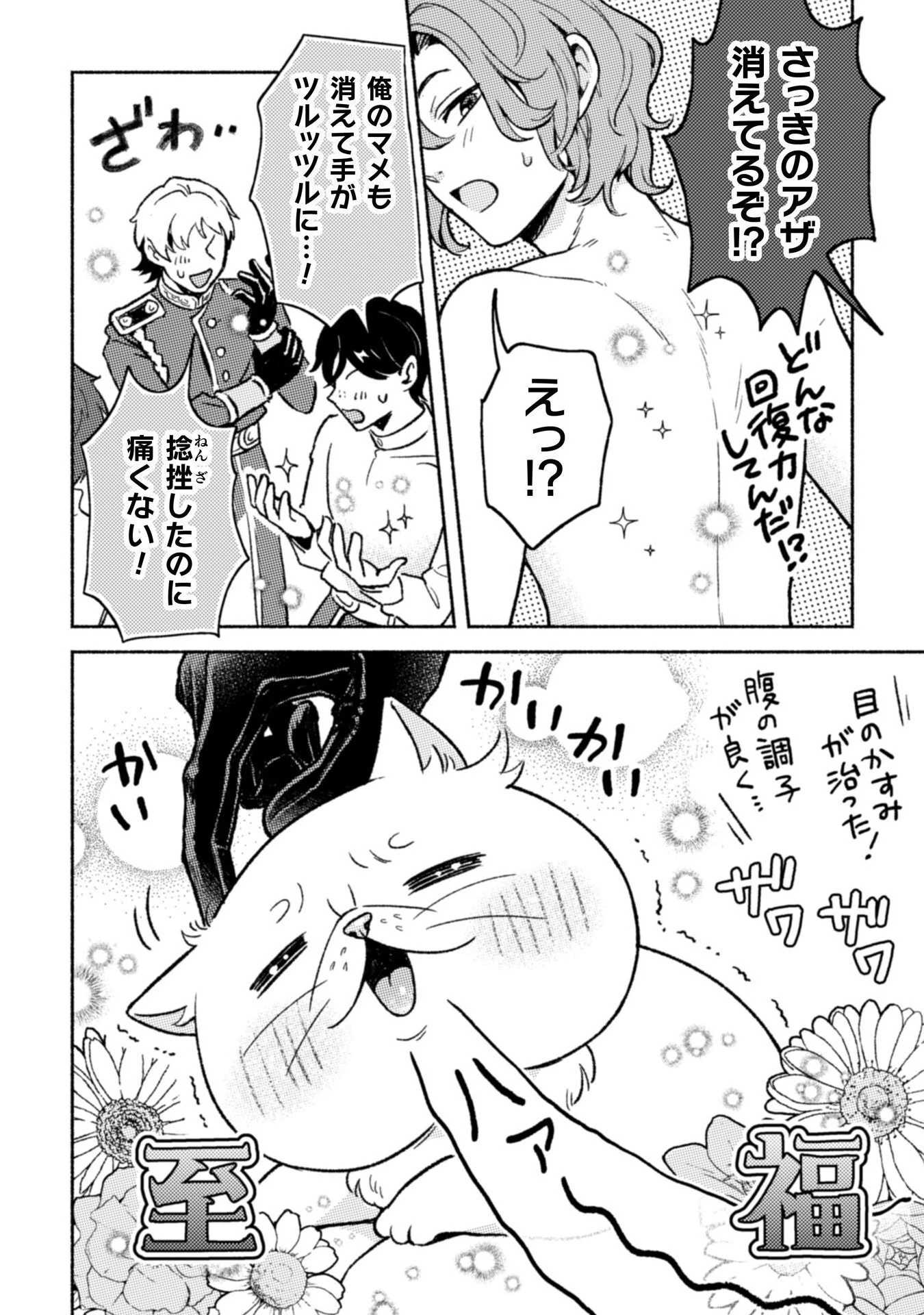 根暗騎士による溺愛満喫中のブサ猫、実は聖女です! 第6話 - 9