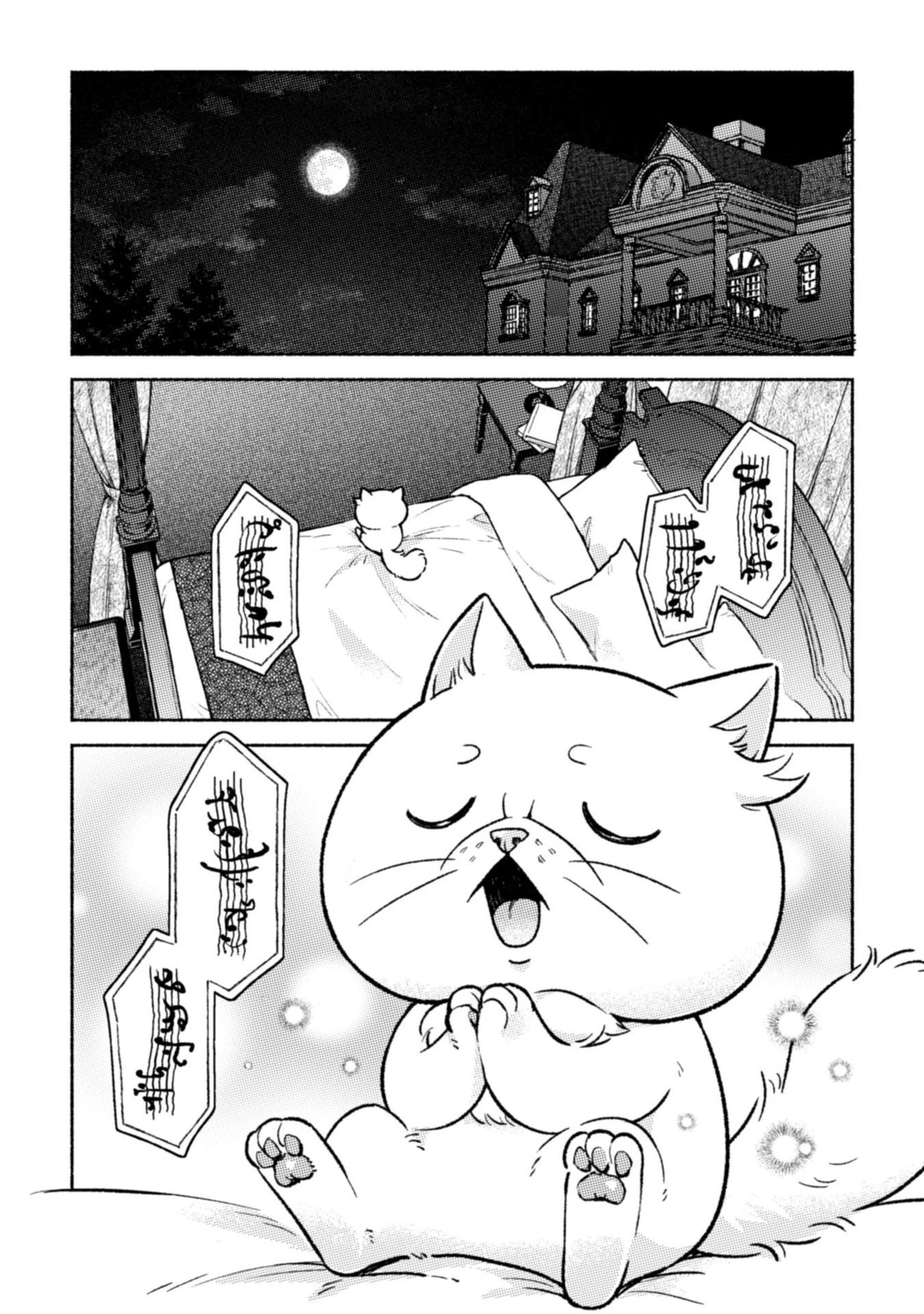 根暗騎士による溺愛満喫中のブサ猫、実は聖女です! 第6話 - 10