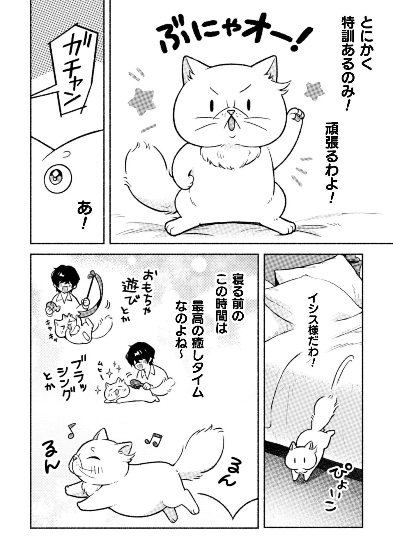 根暗騎士による溺愛満喫中のブサ猫、実は聖女です! 第6話 - 13