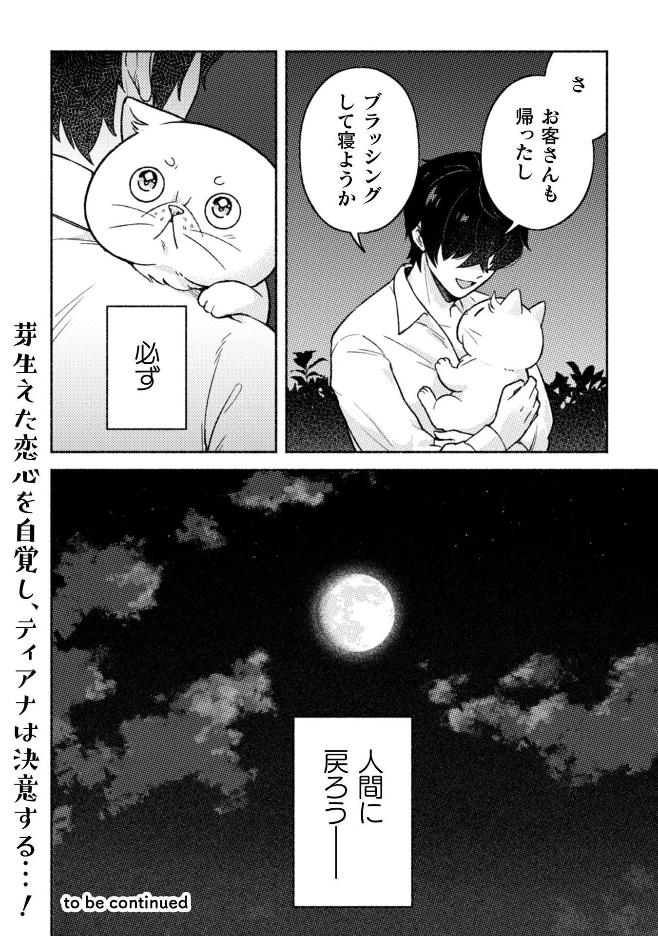 根暗騎士による溺愛満喫中のブサ猫、実は聖女です! 第6話 - 35