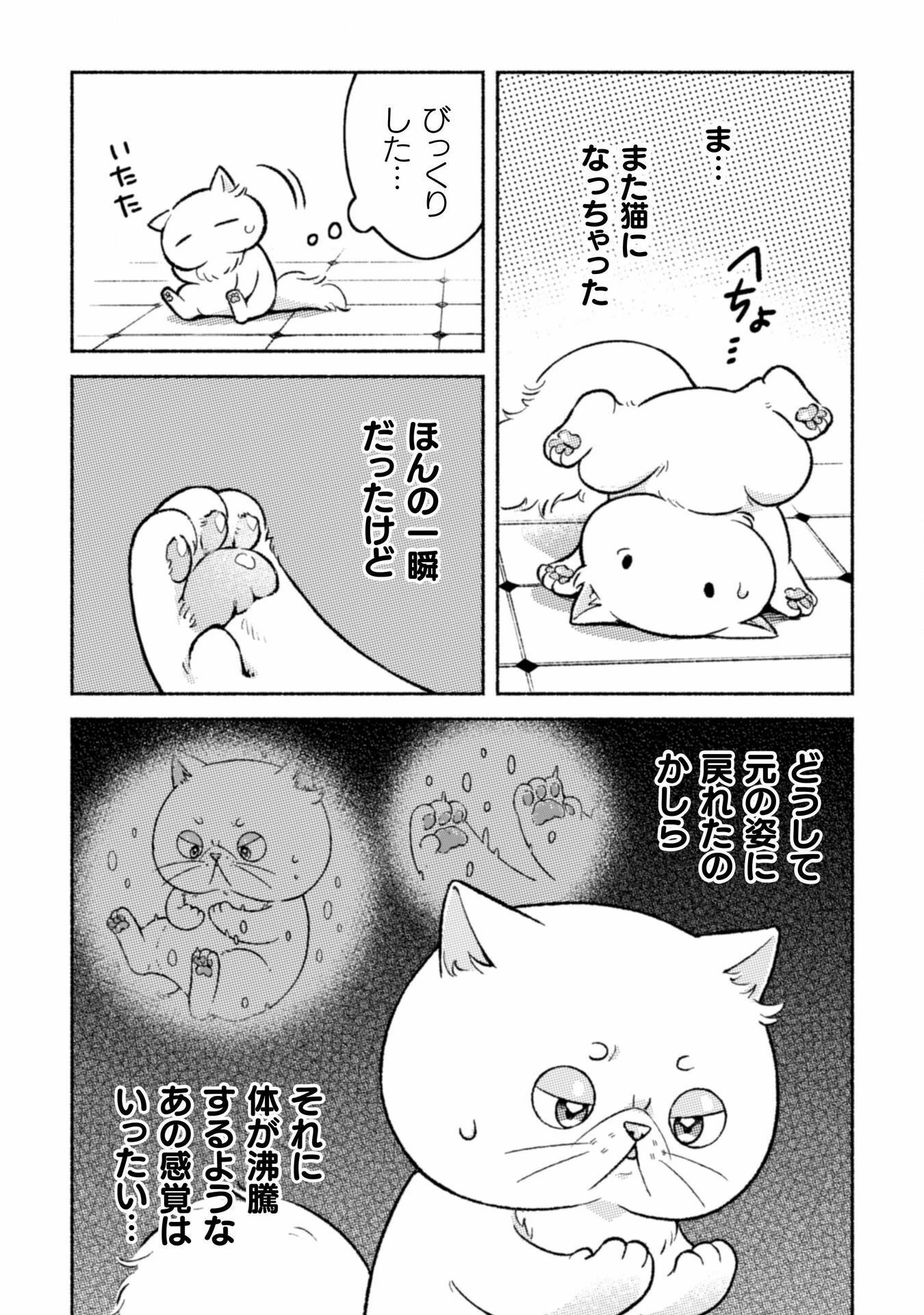 根暗騎士による溺愛満喫中のブサ猫、実は聖女です! 第5話 - 4