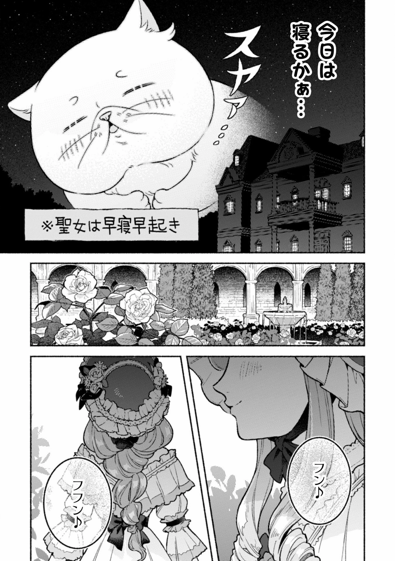 根暗騎士による溺愛満喫中のブサ猫、実は聖女です! 第5話 - 6