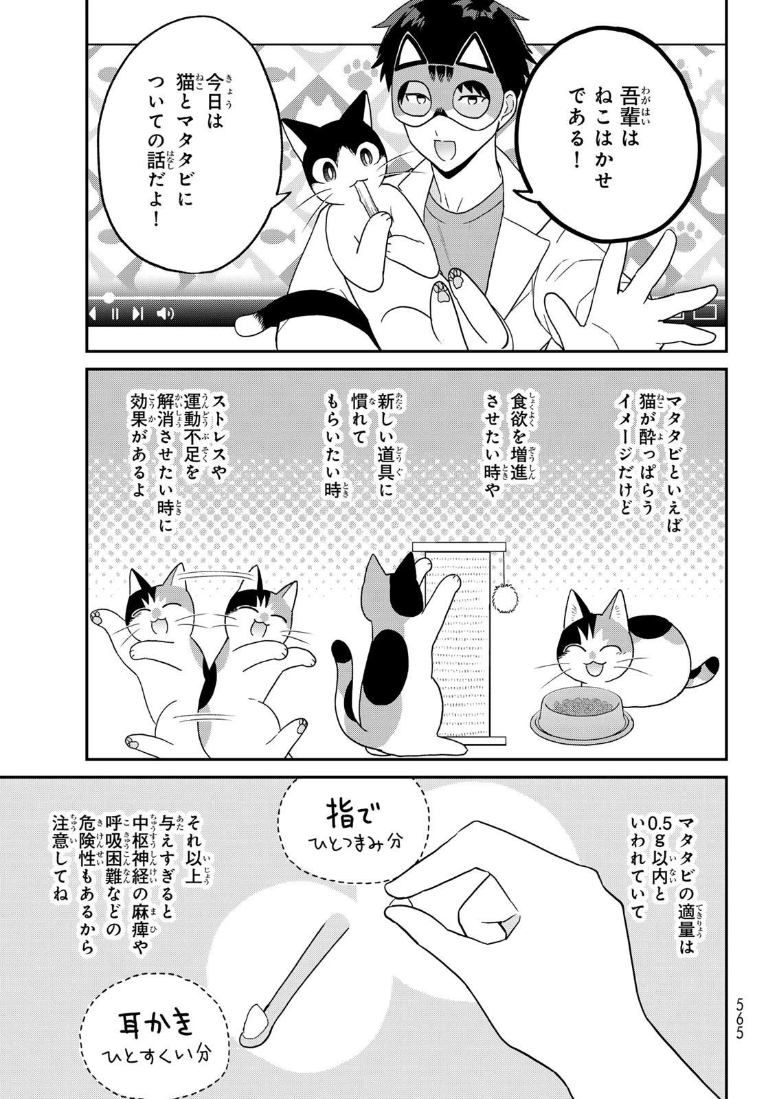 はたらく細胞猫 第19話 - 19
