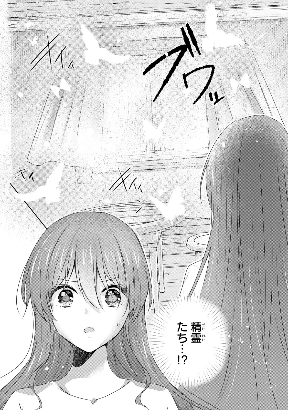 聖女様をお探しでしたら妹で間違いありません。さあどうぞお連れください、今すぐ。 第18話 - 11