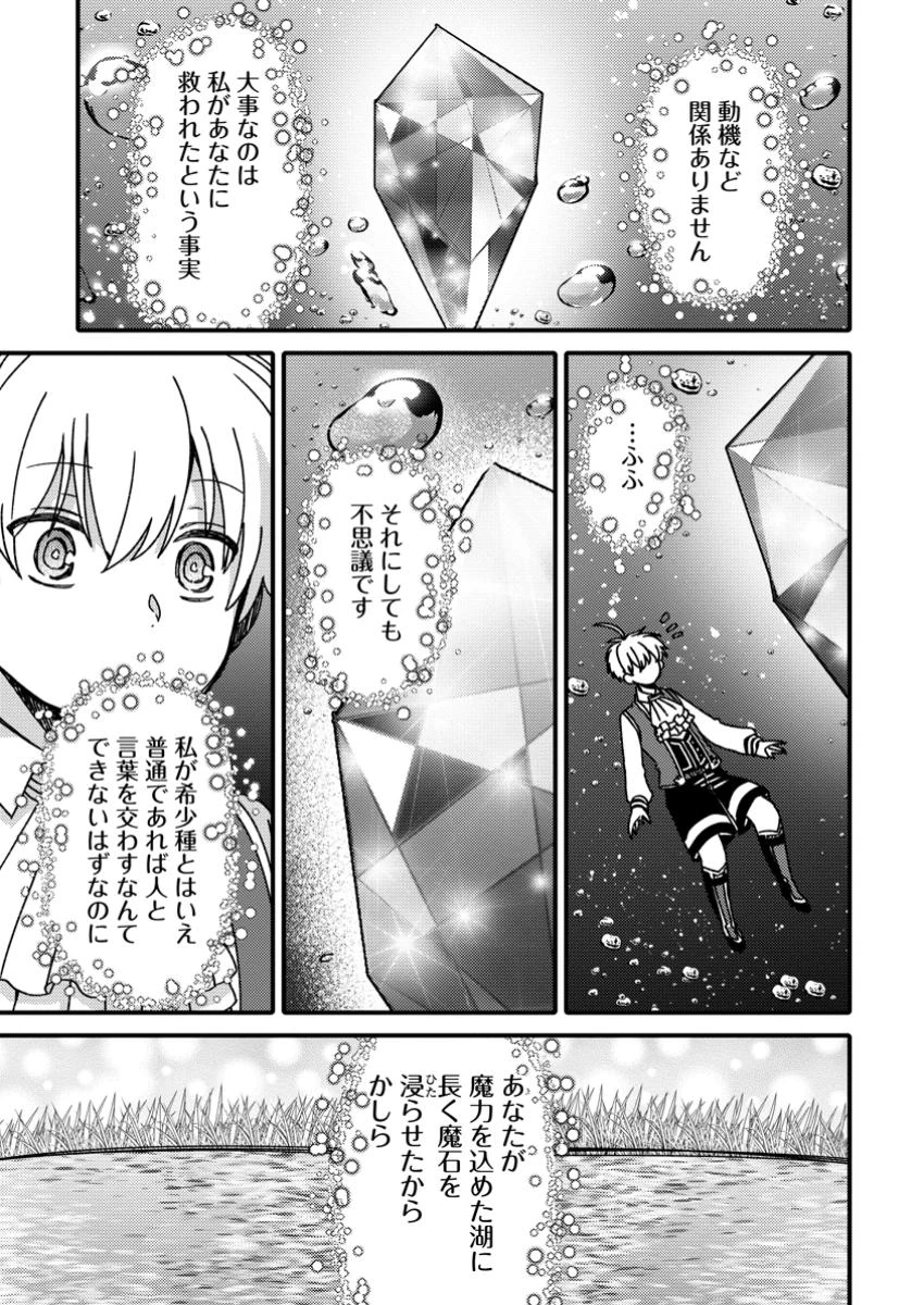 「ある程度（？）の魔法の才能」で今度こそ異世界でスローライフをおくります 第16.2話 - 5
