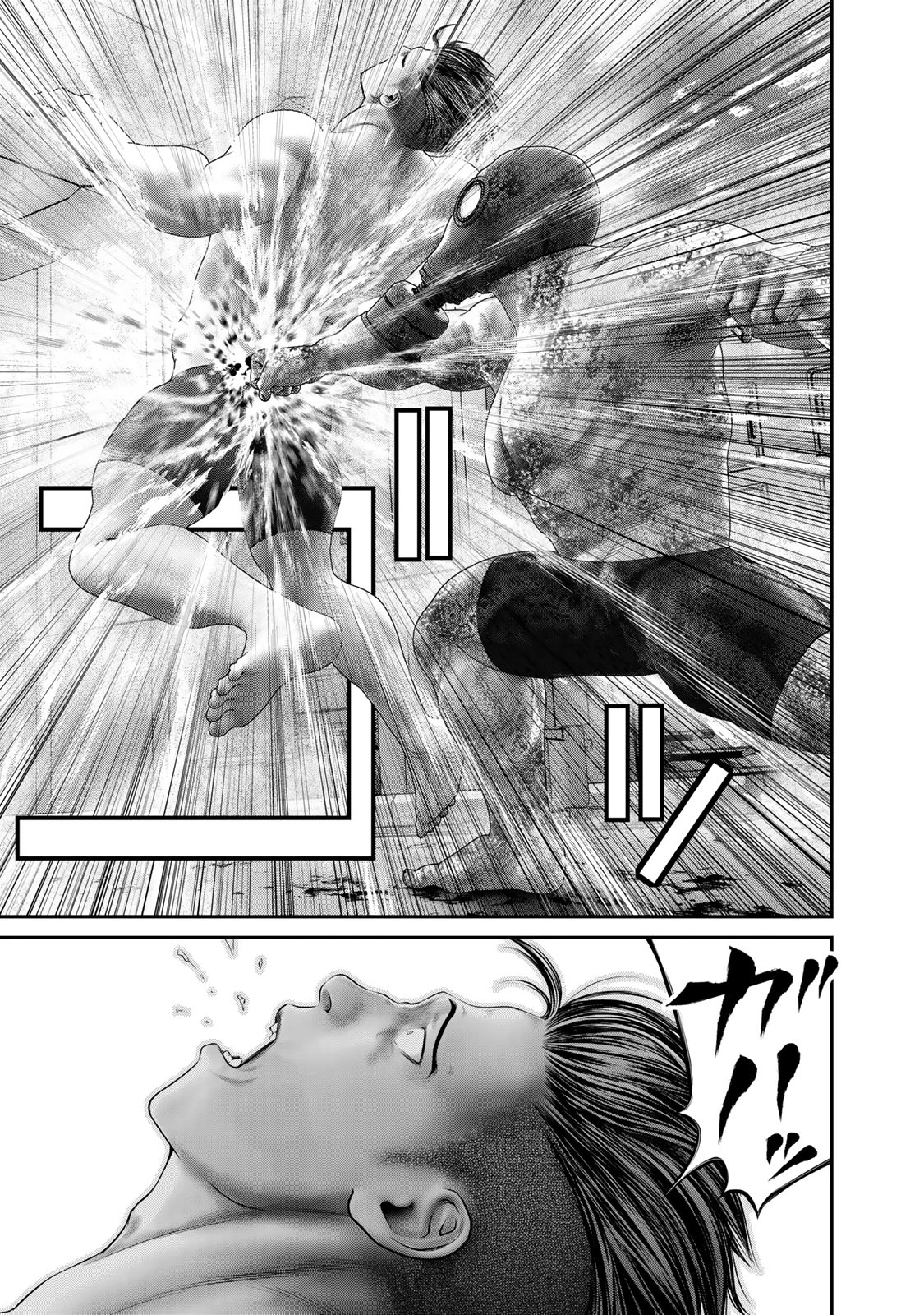 陸上自衛隊特務諜報機関別班の犬 第70話 - 17