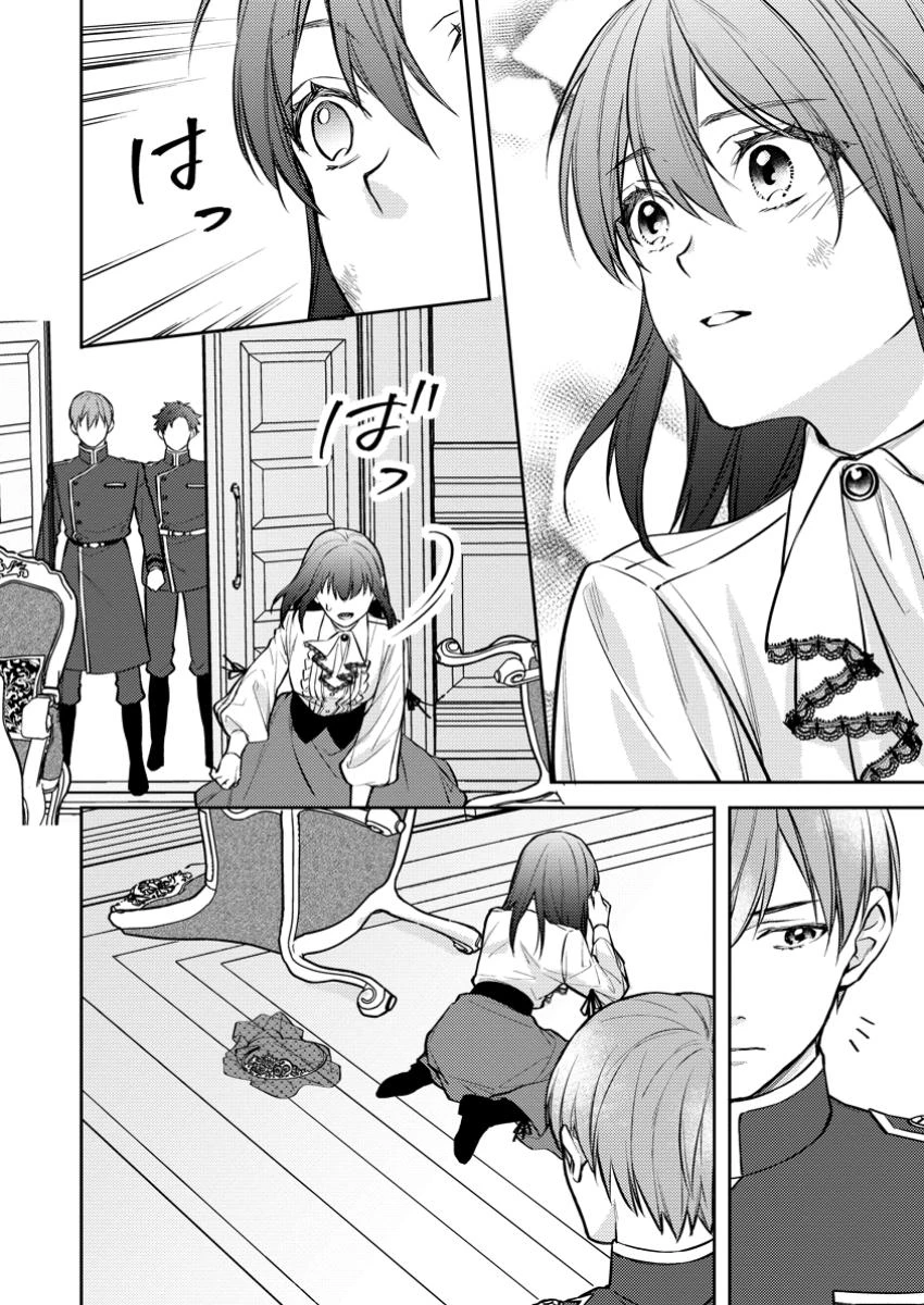 ヴェールの聖女～醜いと誤解された聖女、イケメン護衛騎士に溺愛される～ 第17.3話 - 8