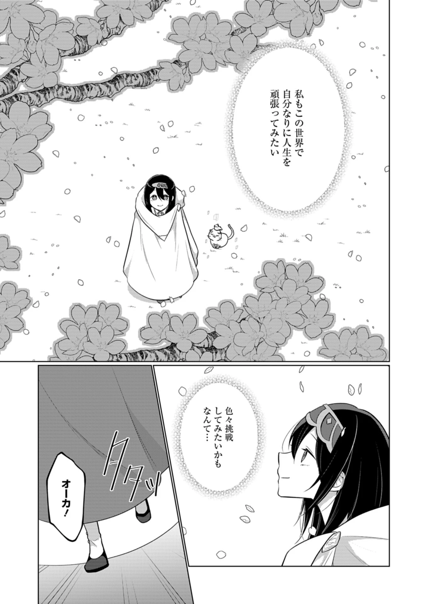 こんな異世界のすみっこで　ちっちゃな使役魔獣とすごす、ほのぼの魔法使いライフ 第12話 - 13