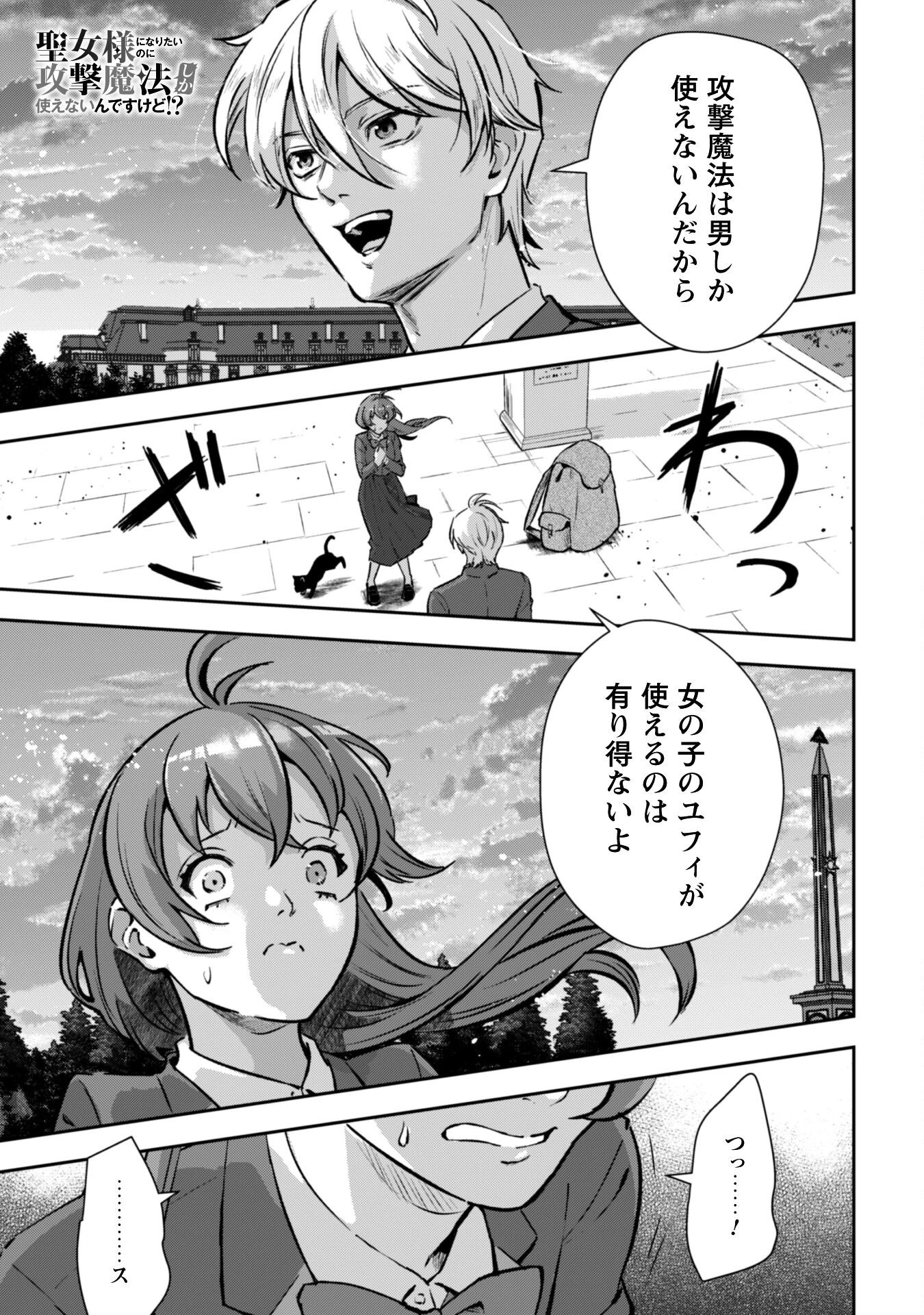 聖女様になりたいのに攻撃魔法しか使えないんですけど！？ 第2話 - 2