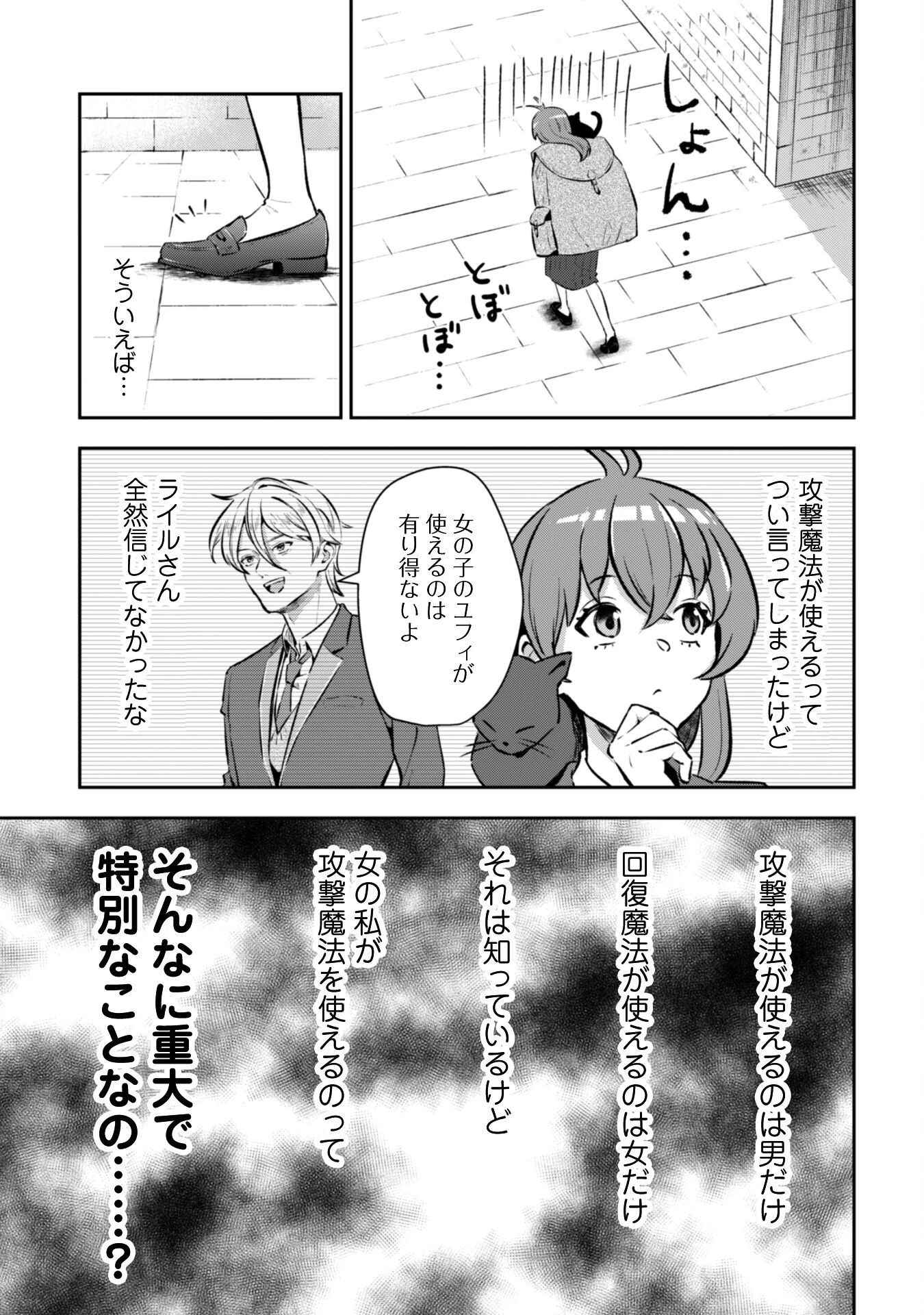 聖女様になりたいのに攻撃魔法しか使えないんですけど！？ 第2話 - 14