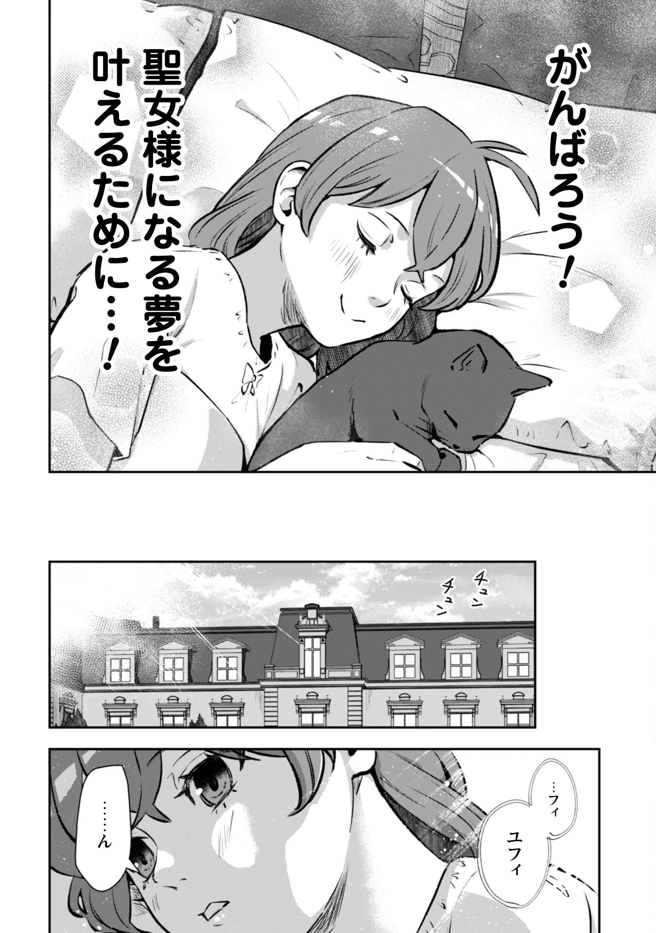 聖女様になりたいのに攻撃魔法しか使えないんですけど！？ 第2話 - 23