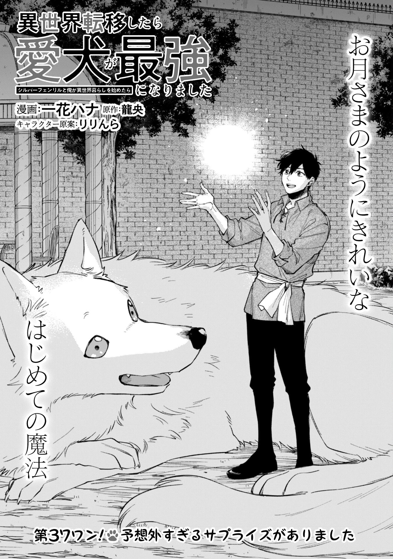 異世界転移したら愛犬が最強になりました~シルバーフェンリルと俺が異世界暮らしを始めたら~ 第37話 - 2