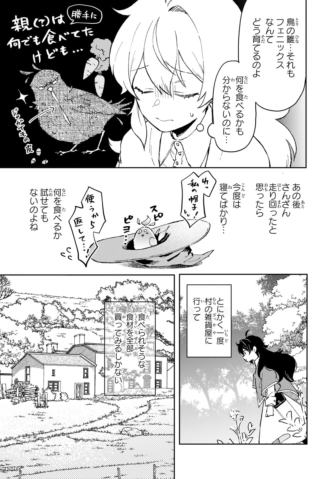 暁の魔女レイシーは自由に生きたい～魔王討伐を終えたので、のんびりお店を開きます～ 第9話 - 3