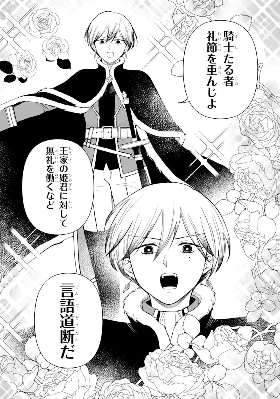 ひねくれ騎士とふわふわ姫様 古城暮らしと小さなおうち 第12.1話 - 10