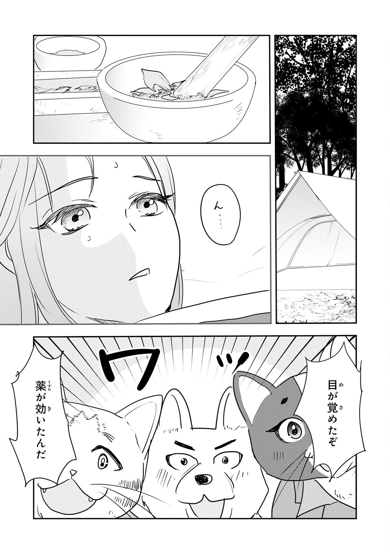 異世界のんびりキャンプ～聖獣たちの住まう島で自由気ままにスローライフを謳歌する～ 第14話 - 25