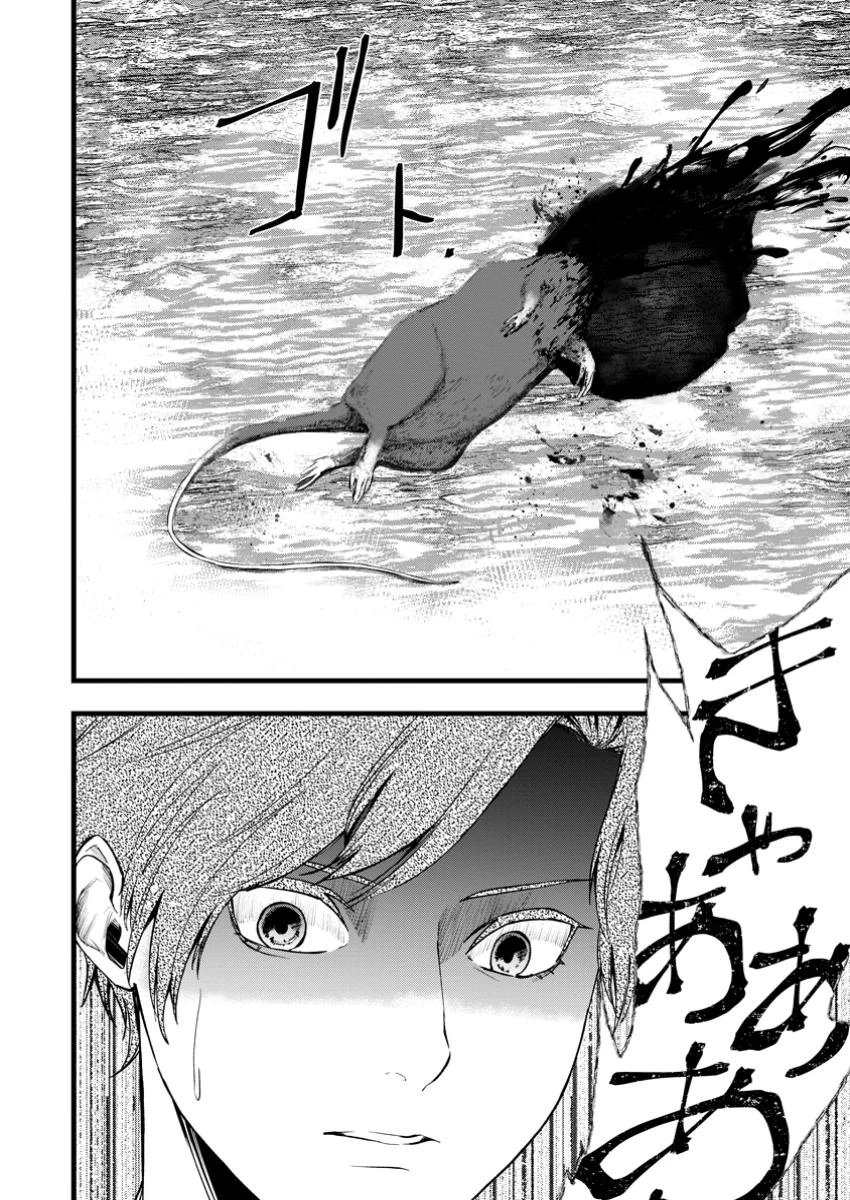 どクズな家族と別れる方法 天才の姉は実はダメ女。無能と言われた妹は救国の魔導士だった 第17.3話 - 10