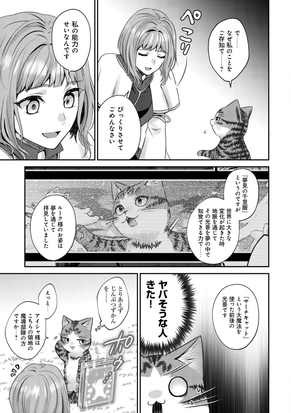 我輩は猫魔導師である～キジトラ・ルークの快適チート猫生活～ 第22話 - 3