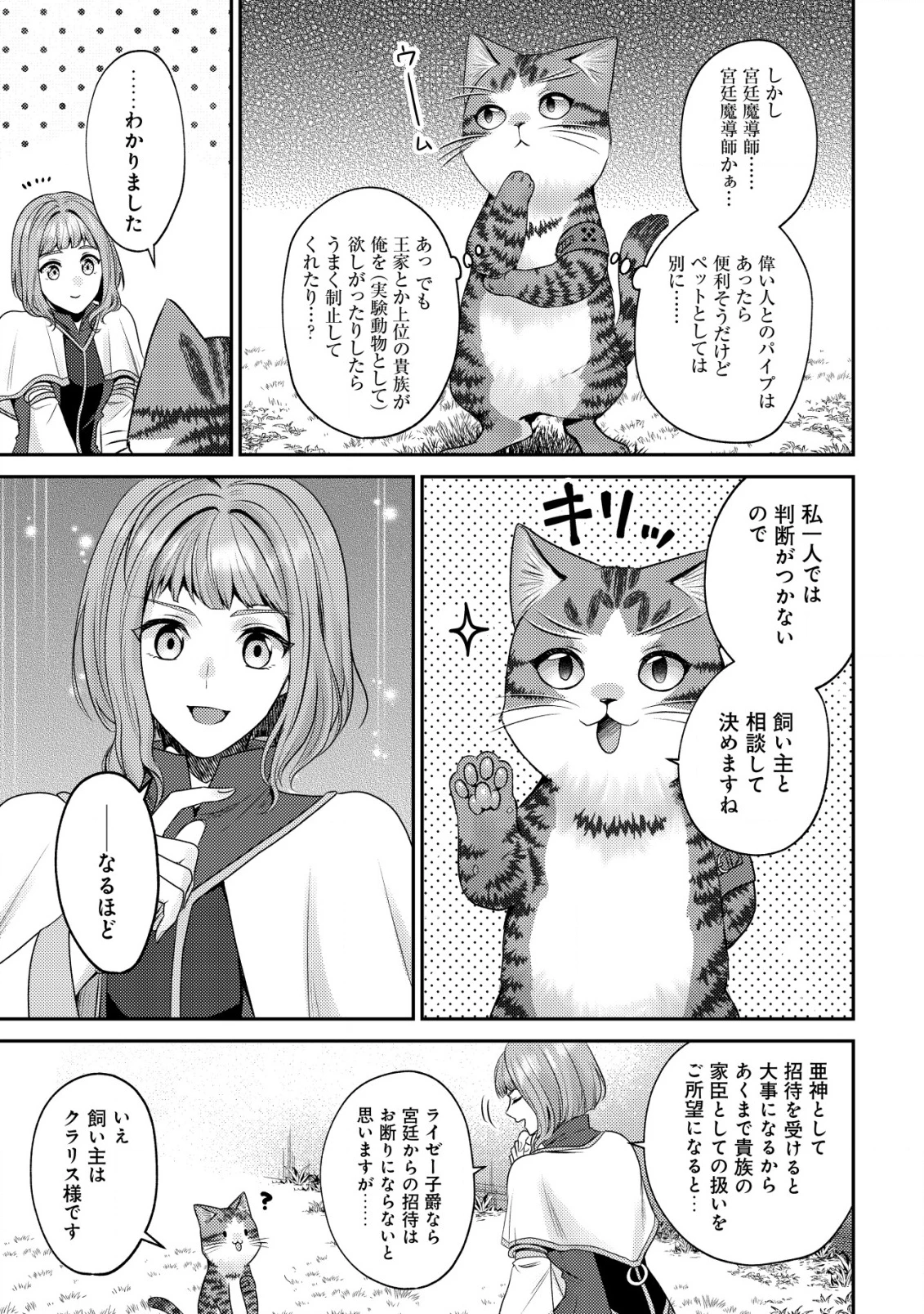 我輩は猫魔導師である～キジトラ・ルークの快適チート猫生活～ 第22話 - 9