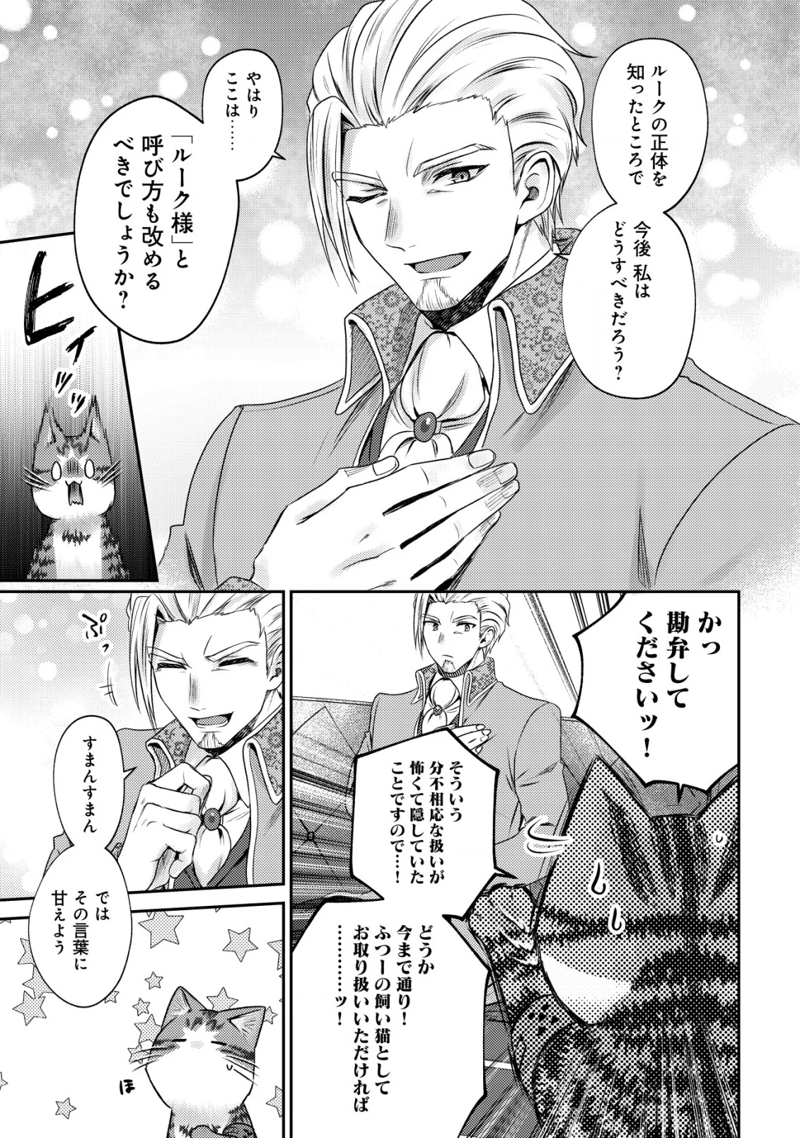 我輩は猫魔導師である～キジトラ・ルークの快適チート猫生活～ 第22話 - 25