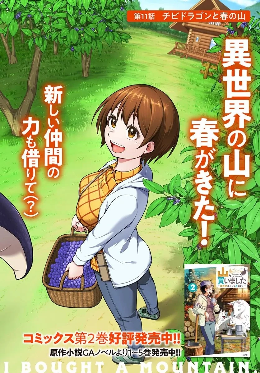 山、買いました 〜異世界暮らしも悪くない〜 第11話 - 2