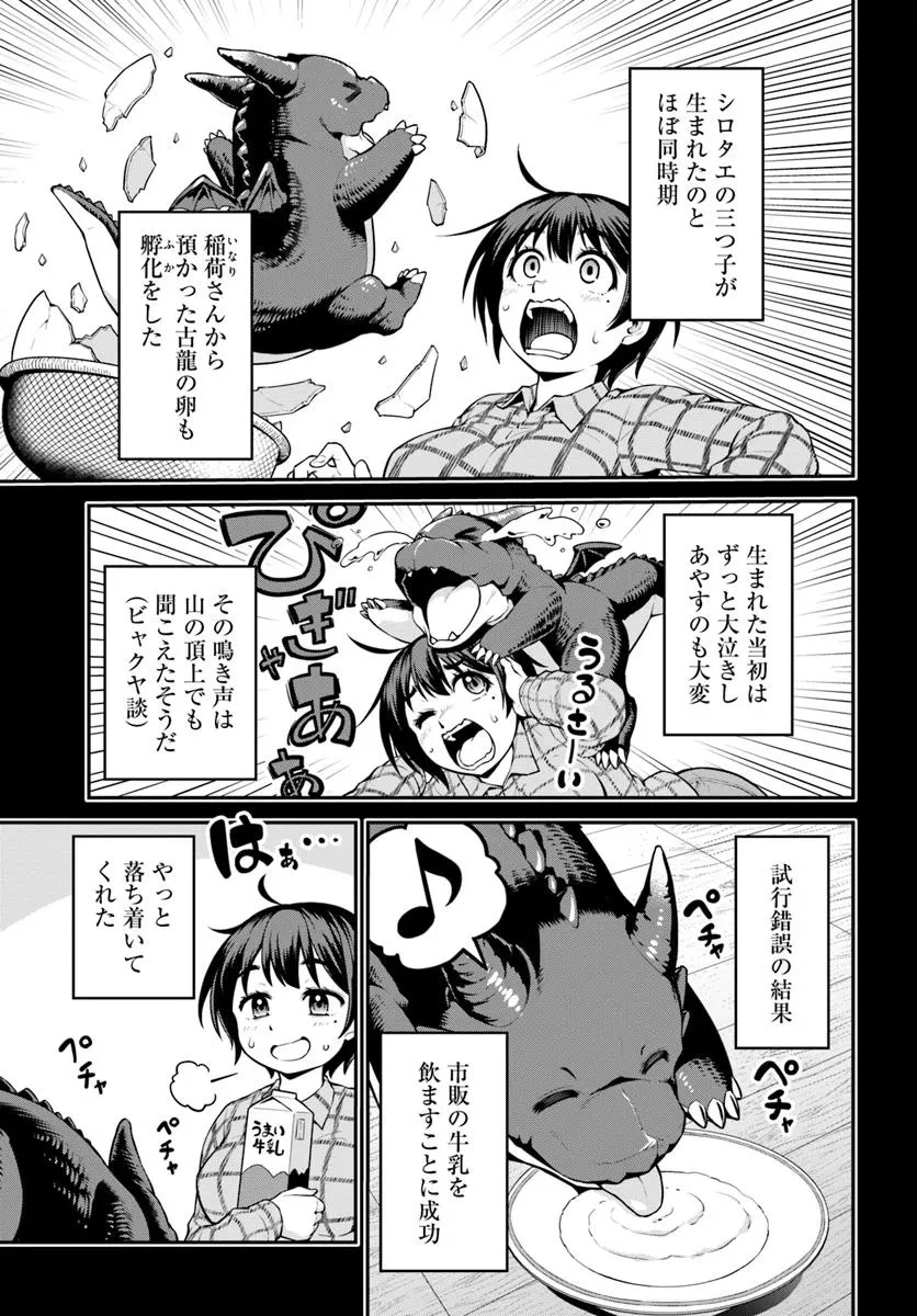 山、買いました 〜異世界暮らしも悪くない〜 第11話 - 4