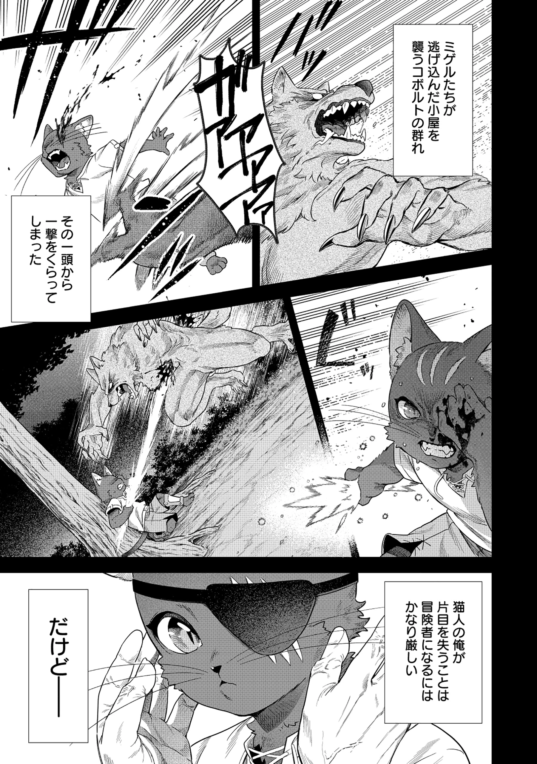 黒猫ニャンゴの冒険リブート レア属性を引き当てたので、気ままな冒険者を目指します 第1話 - 7