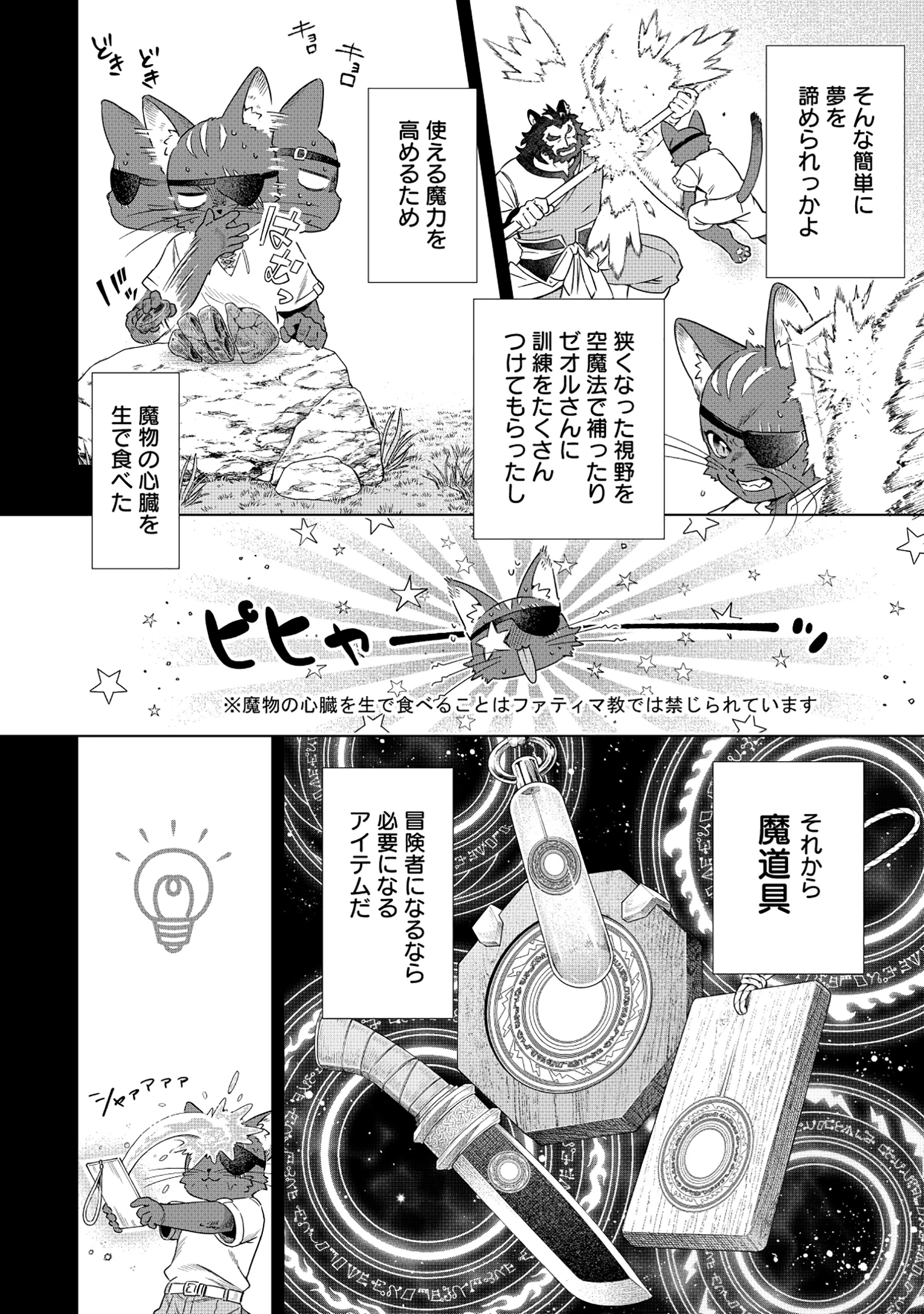 黒猫ニャンゴの冒険リブート レア属性を引き当てたので、気ままな冒険者を目指します 第1話 - 8