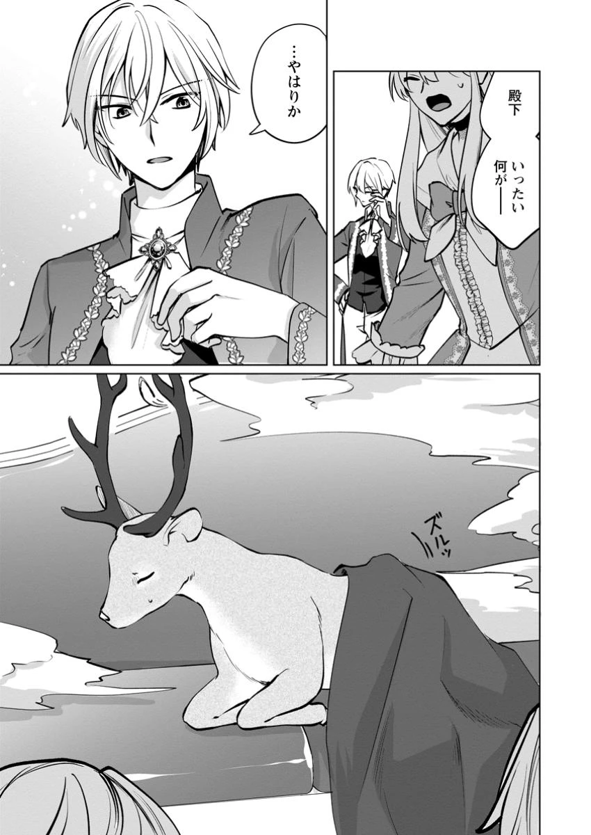 転生先で捨てられたので、もふもふ達とお料理します～お飾り王妃はマイペースに最強です～ 第42.1話 - 9