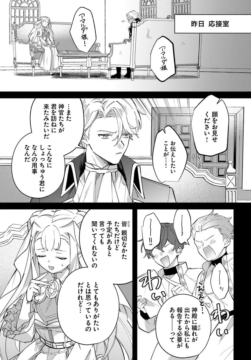 聖女様に醜い神様との結婚を押し付けられました 第17.1話 - 3