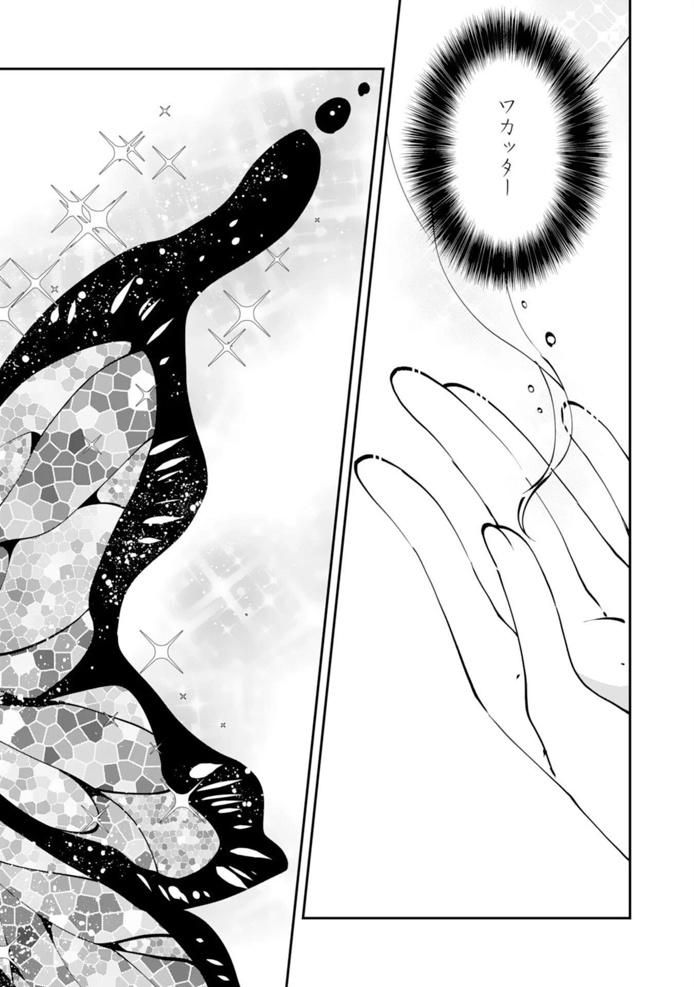 お前呼ばわりで婚約破棄？隣国で自由を謳歌するのでどうぞお構いなく！～追放令嬢、実は最強精霊師でした～ 第1話 - 25