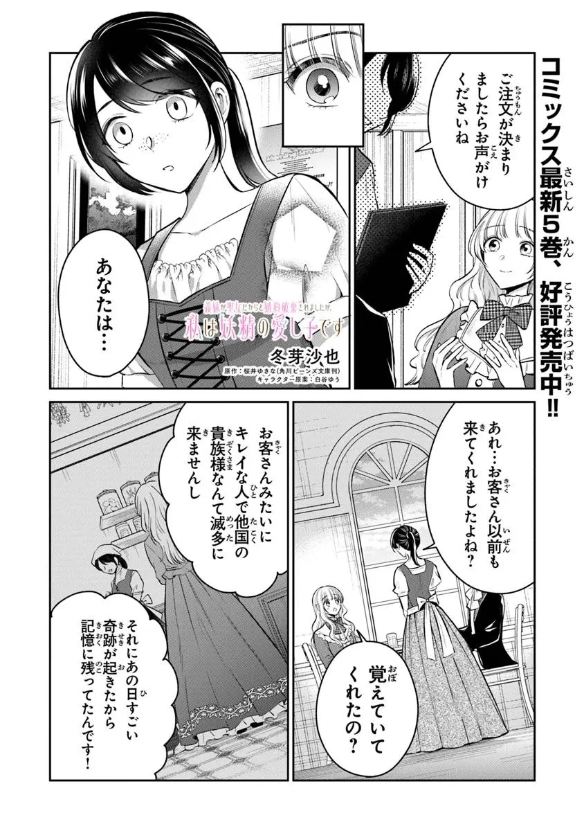 義妹が聖女だからと婚約破棄されましたが、私は妖精の愛し子です 第29.2話 - 1