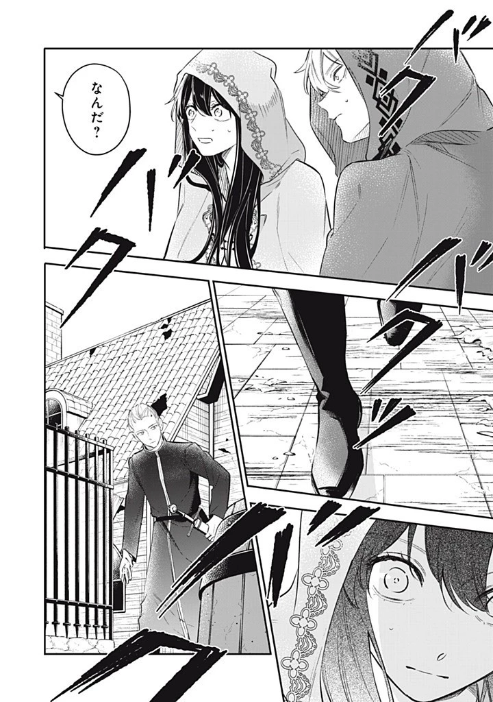 婚約破棄されたので、好きにすることにした。 第14話 - 2
