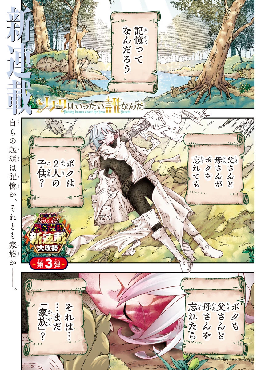 ソナタはいったい誰なんだ 第1話 - 1