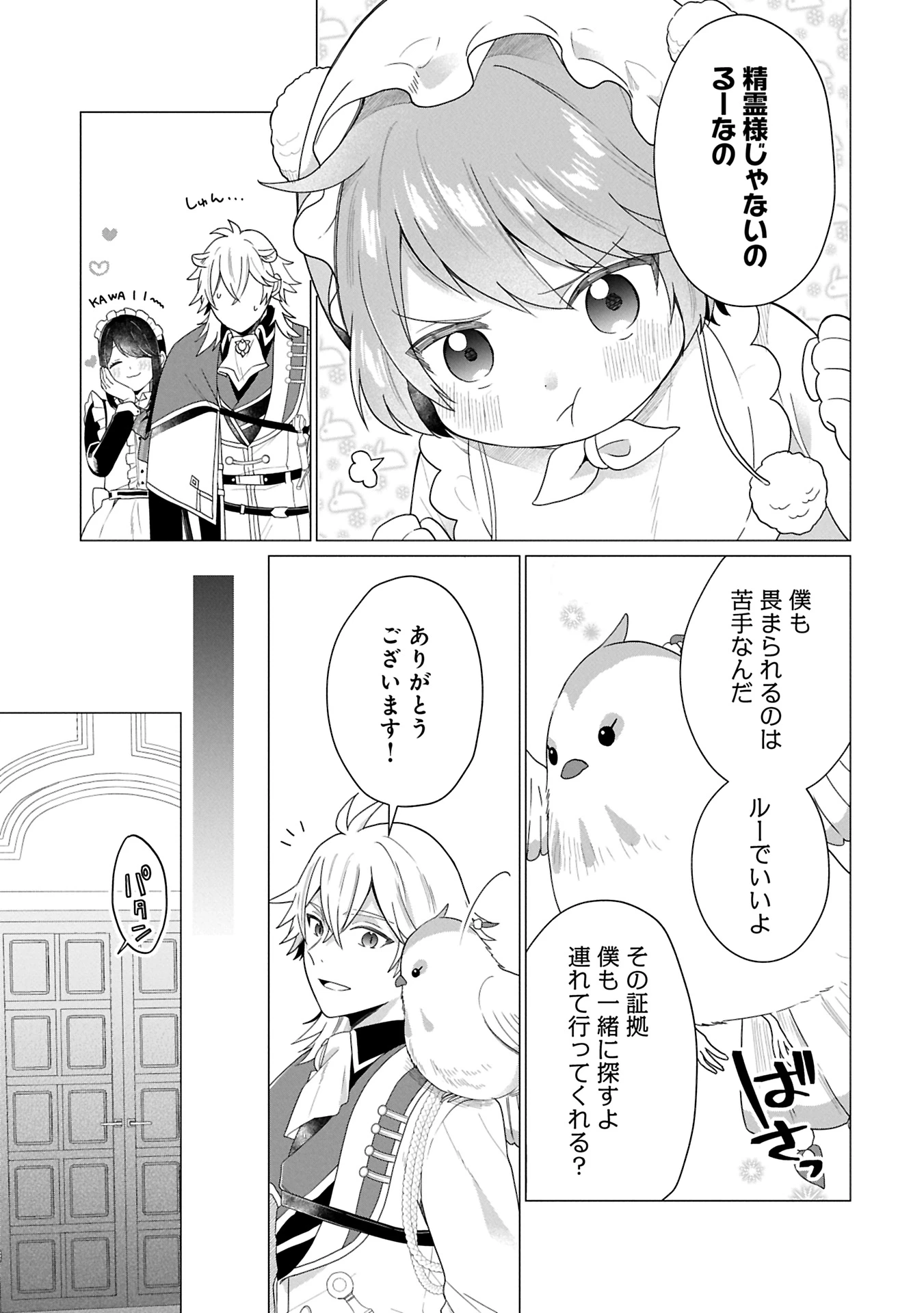 ボクは光の国の転生皇子さま!～溺愛する家族と精霊の加護と共に、ボクの天然チートでお助けします!～ 第2.1話 - 11