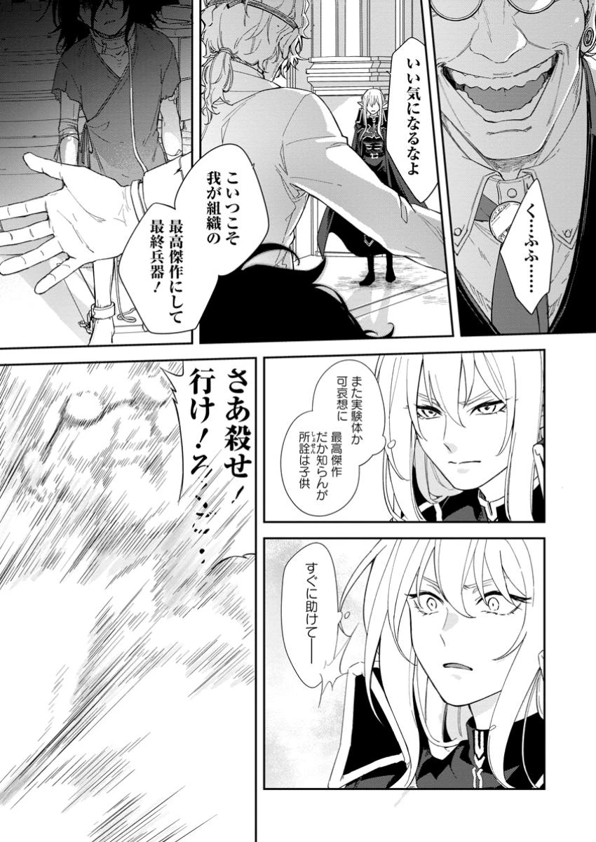 英雄ブランの人生計画 第二の人生は憧れの雑用係でお願いします 第9.1話 - 5