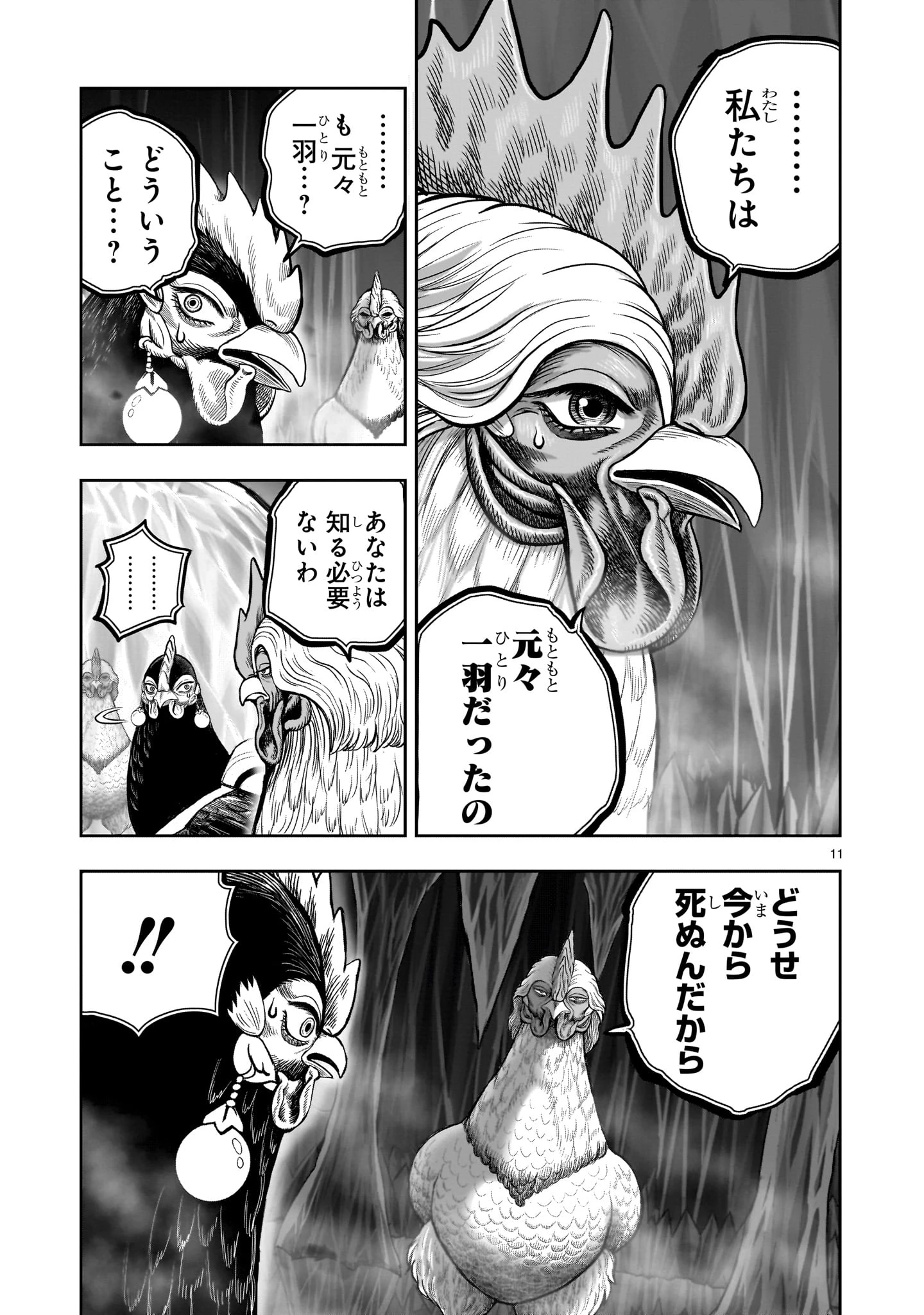 ニワトリ・ファイター 第49話 - 11