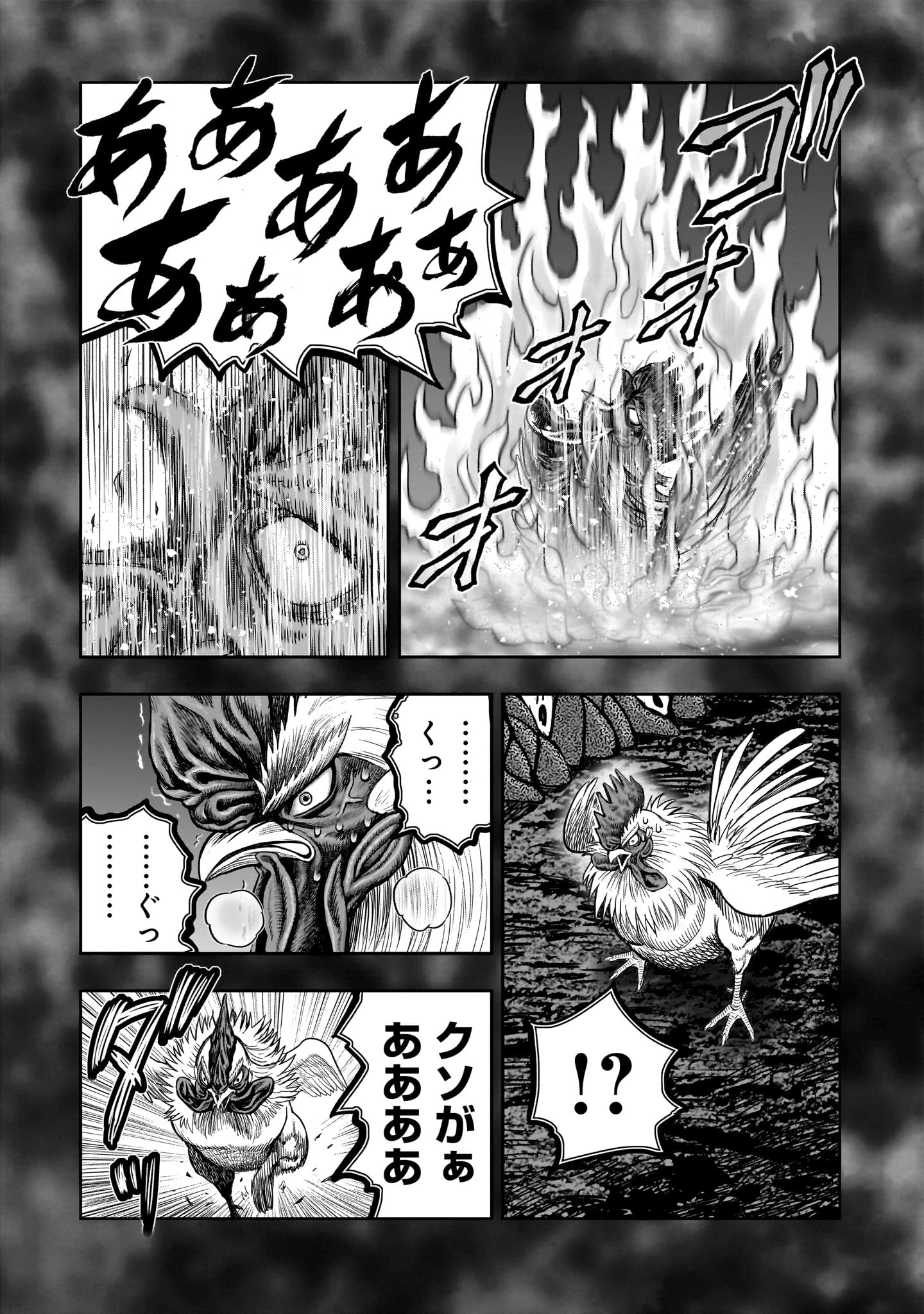 ニワトリ・ファイター 第49話 - 35